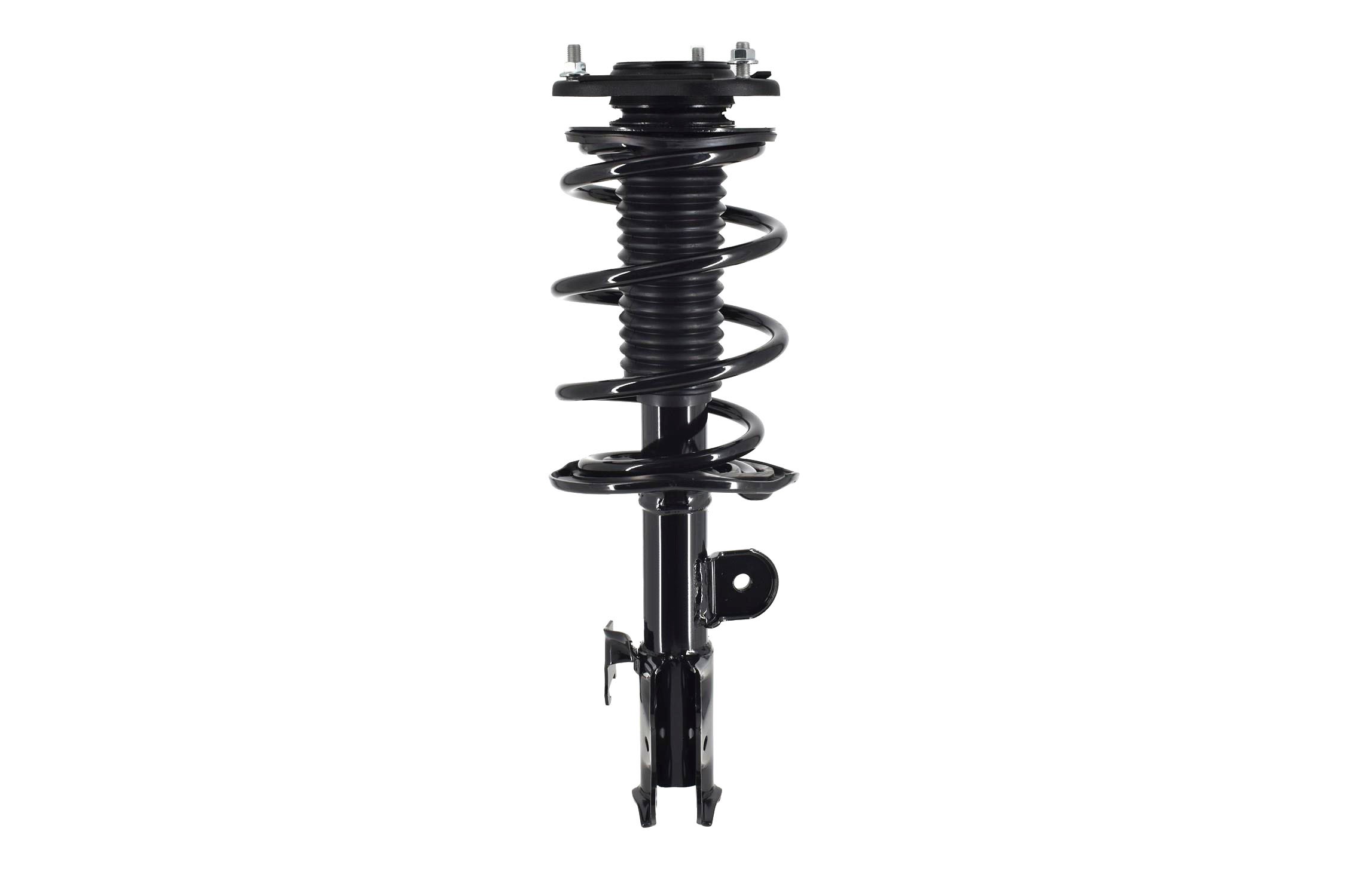 Suspension Strut and Coil Spring Assembly