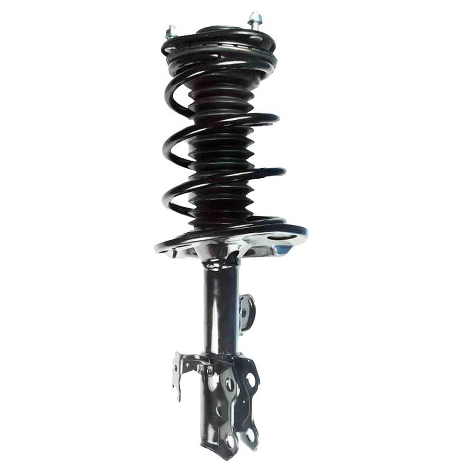 Suspension Strut and Coil Spring Assembly