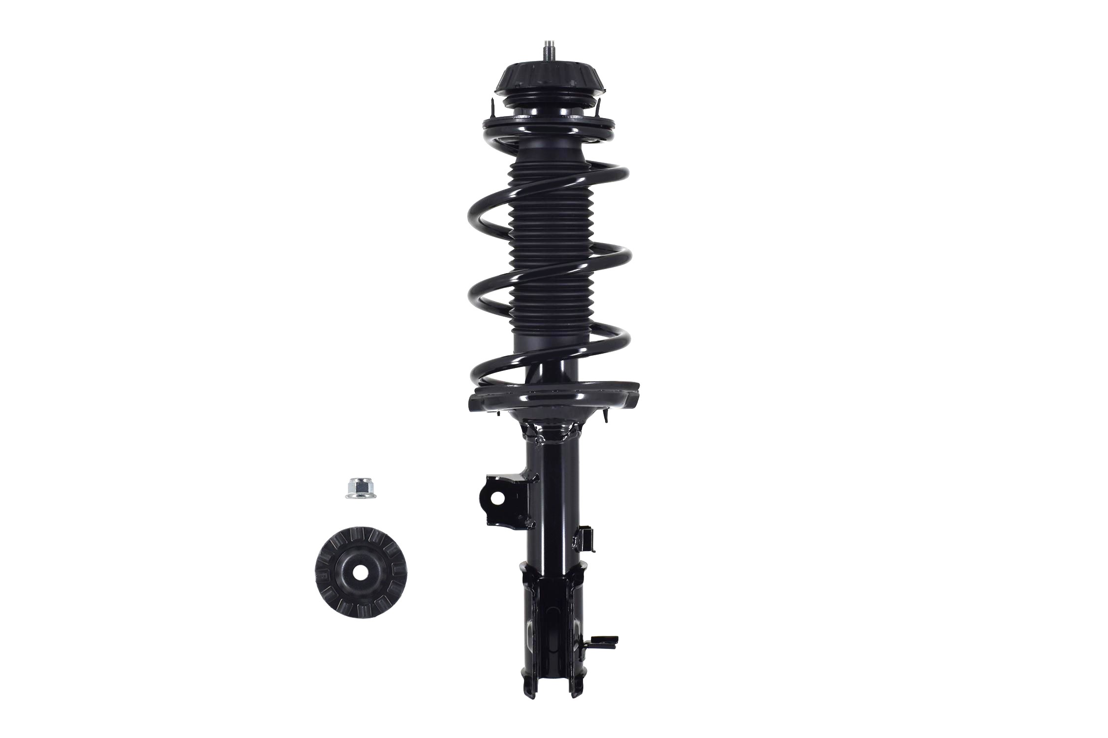 Suspension Strut and Coil Spring Assembly