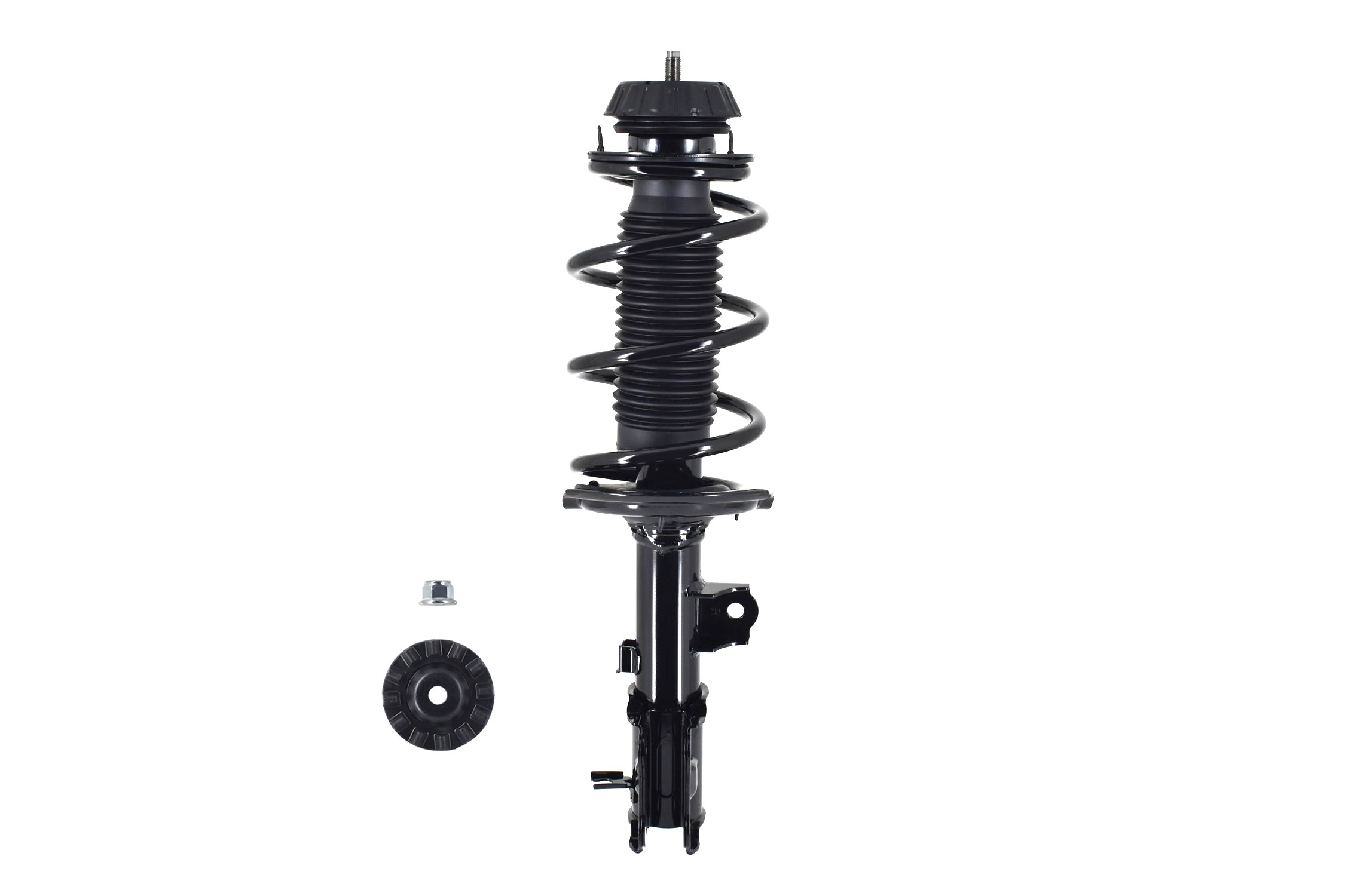 Suspension Strut and Coil Spring Assembly