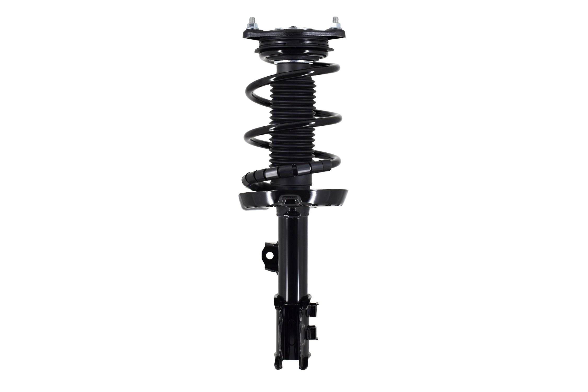 Suspension Strut and Coil Spring Assembly