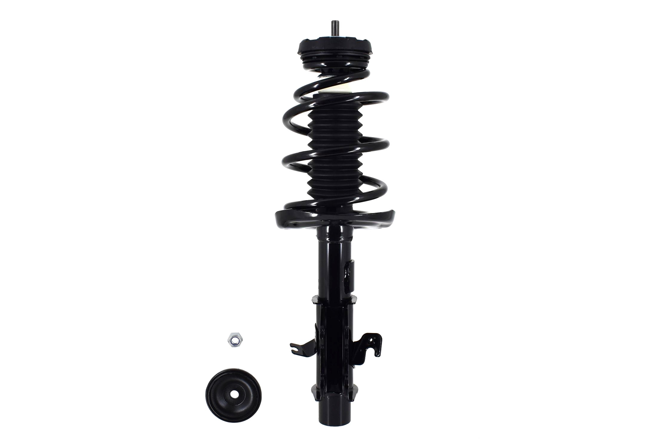 Suspension Strut and Coil Spring Assembly
