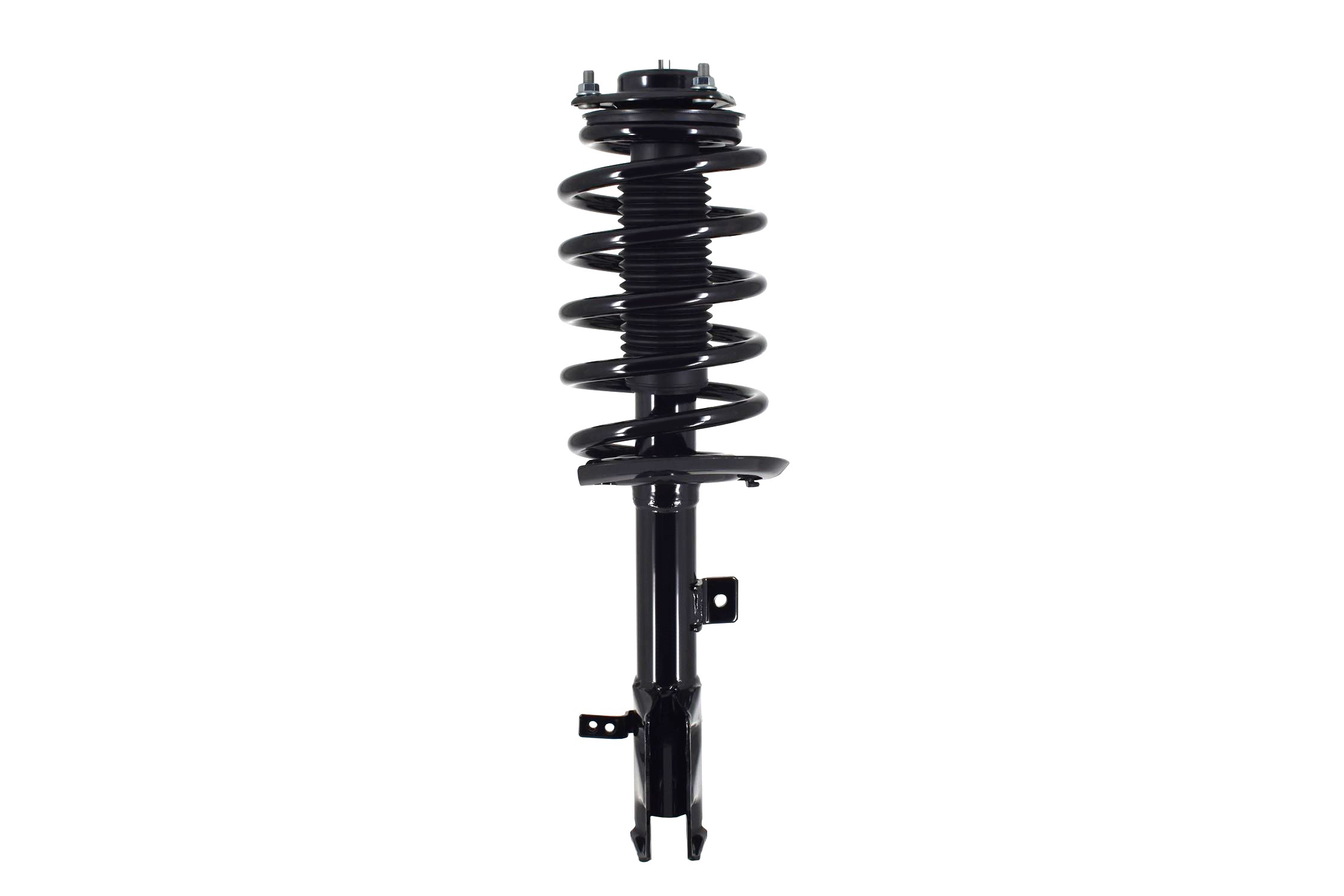 Suspension Strut and Coil Spring Assembly