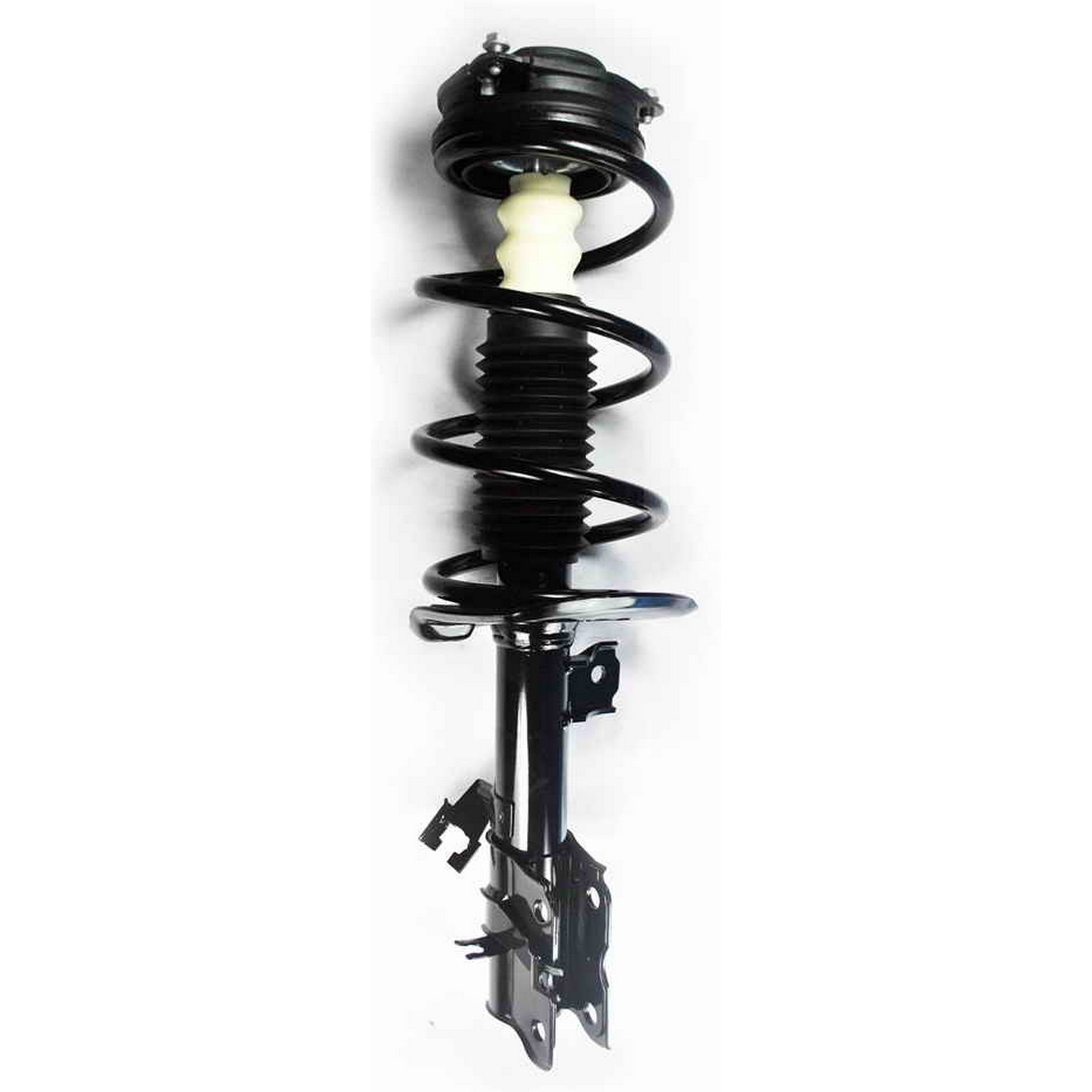 Suspension Strut and Coil Spring Assembly