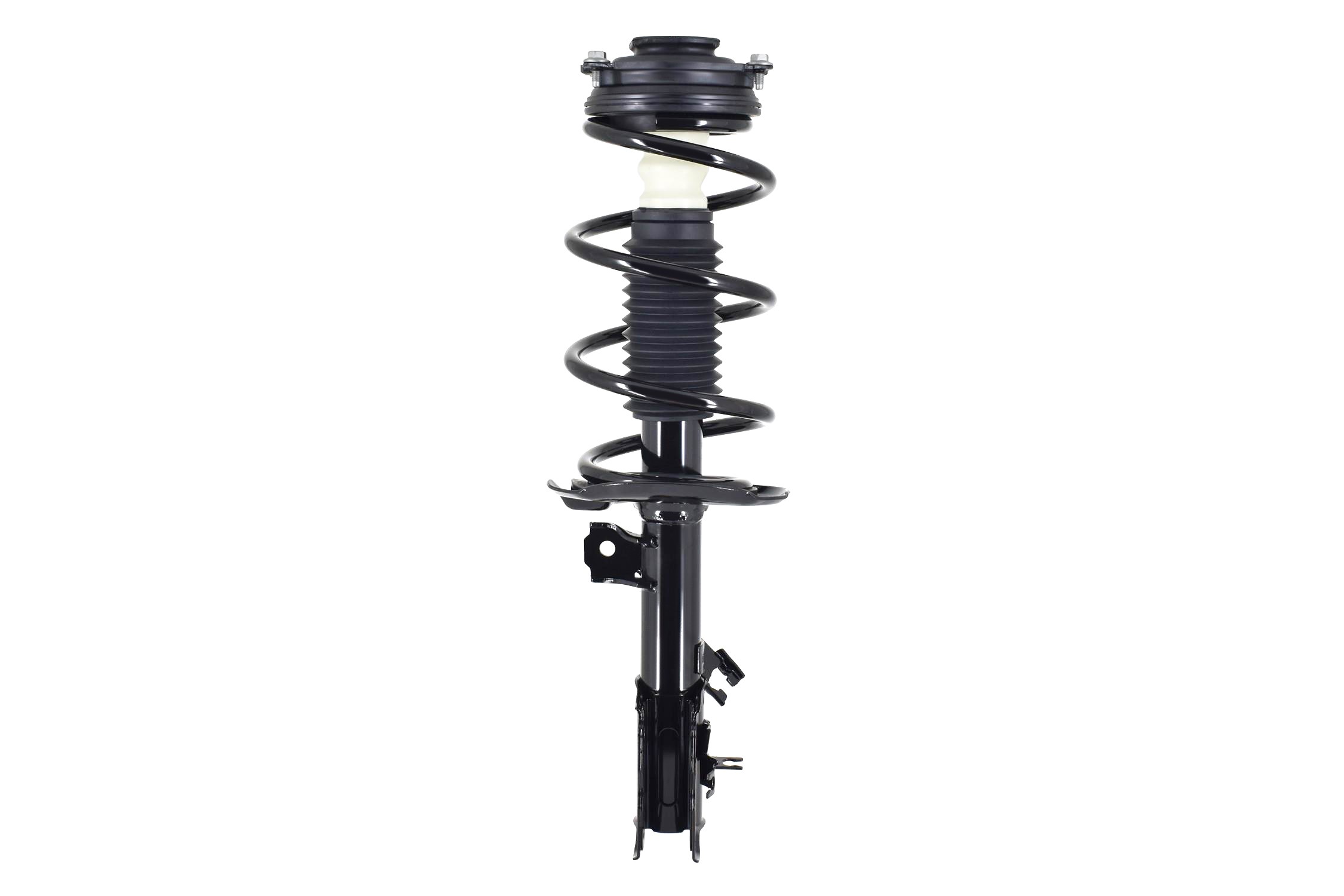 Suspension Strut and Coil Spring Assembly