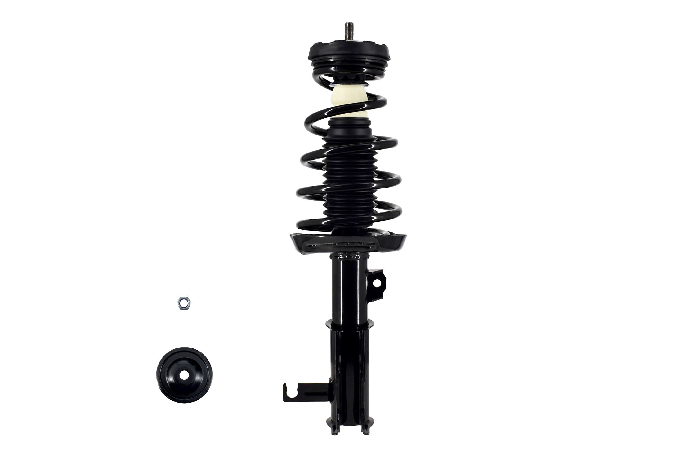 Suspension Strut and Coil Spring Assembly