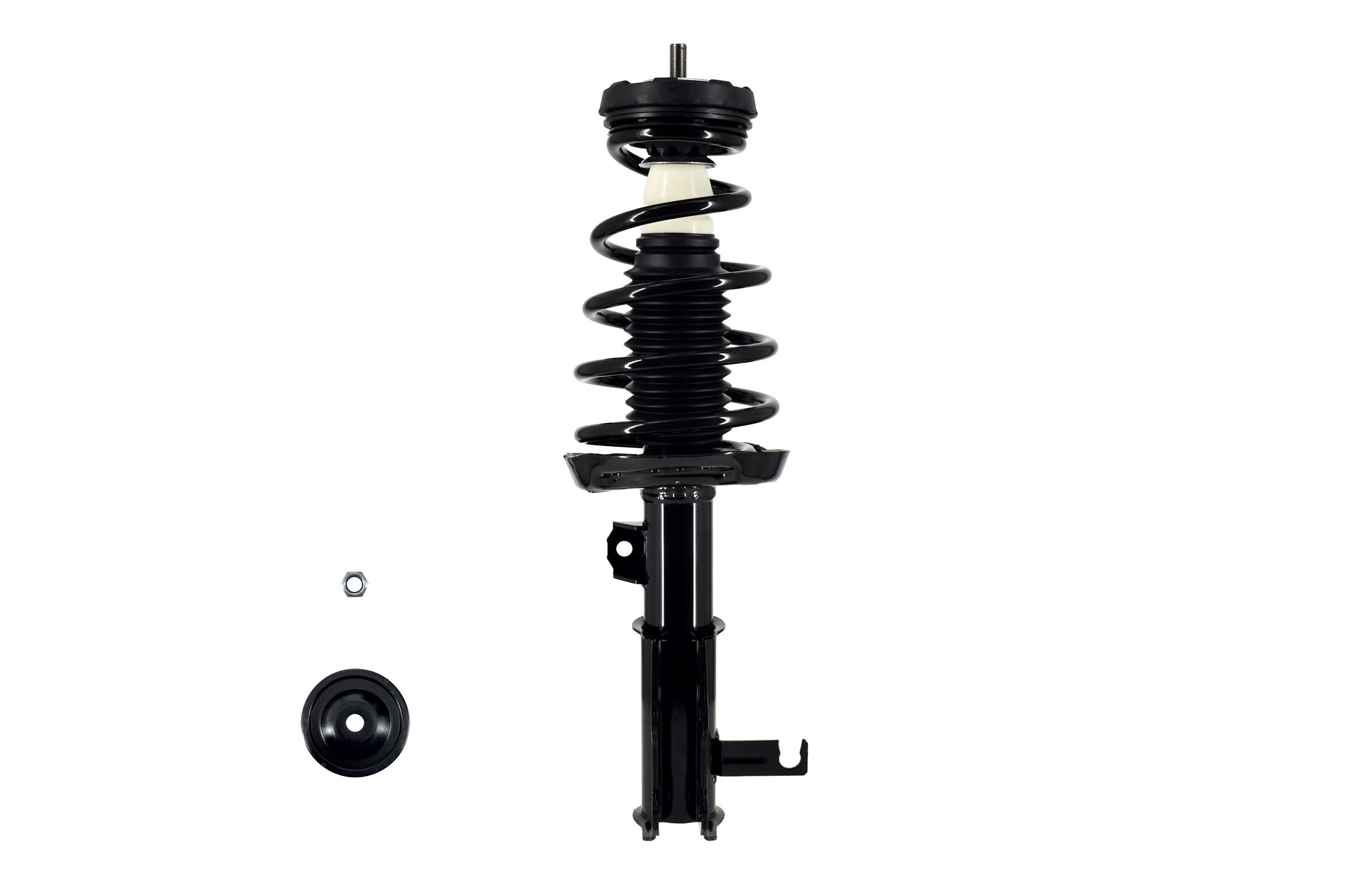 Suspension Strut and Coil Spring Assembly