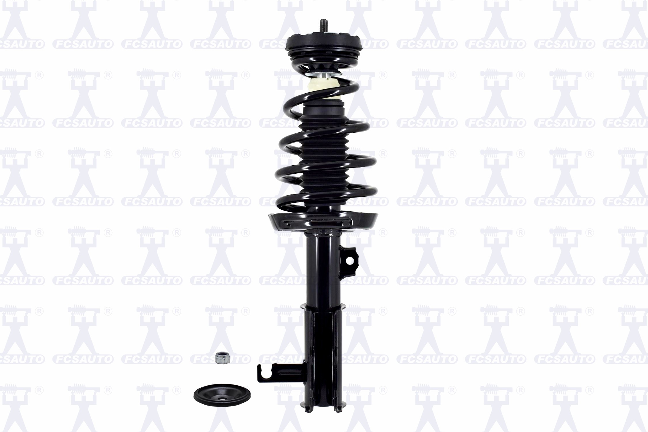 Suspension Strut and Coil Spring Assembly