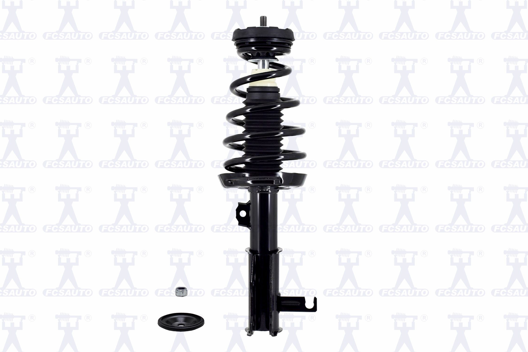 Suspension Strut and Coil Spring Assembly
