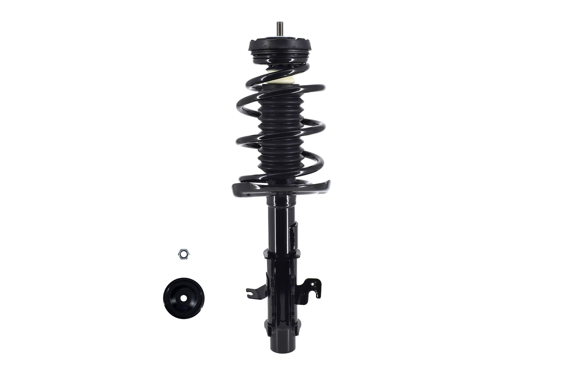 Suspension Strut and Coil Spring Assembly