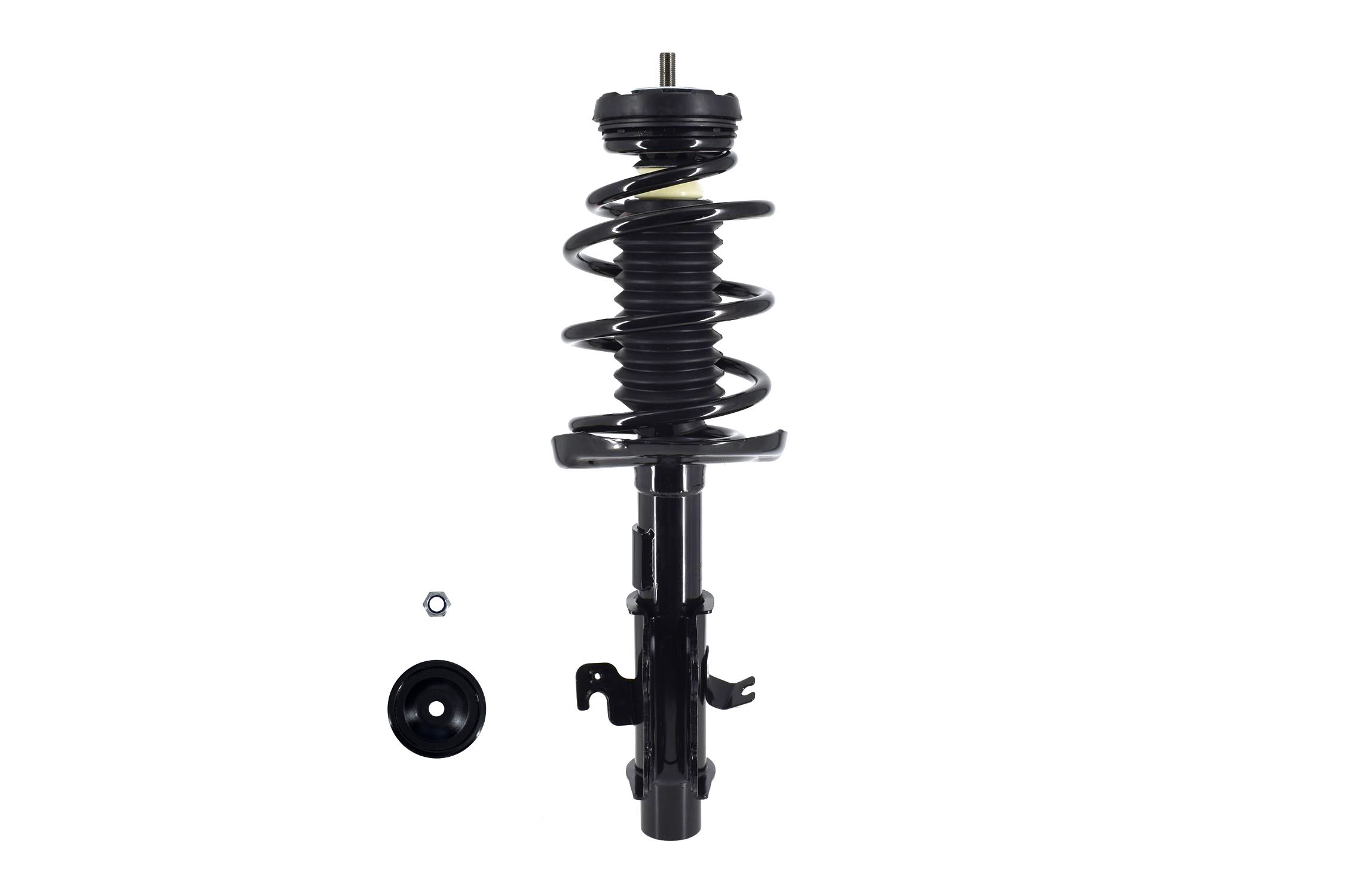 Suspension Strut and Coil Spring Assembly