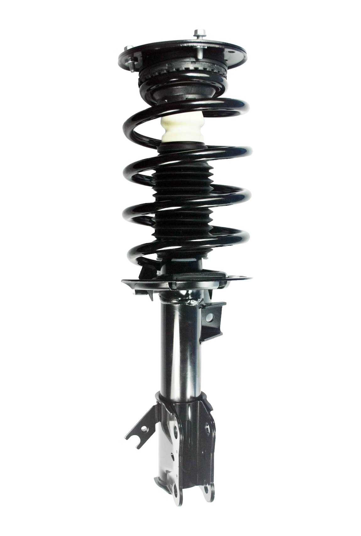Suspension Strut and Coil Spring Assembly