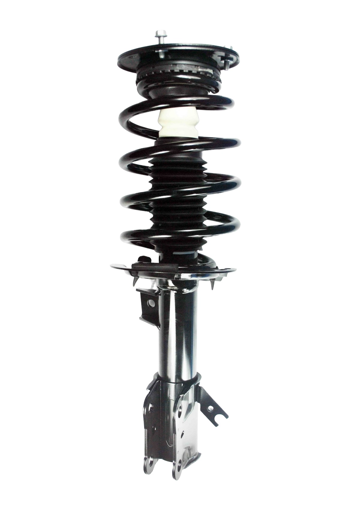Suspension Strut and Coil Spring Assembly