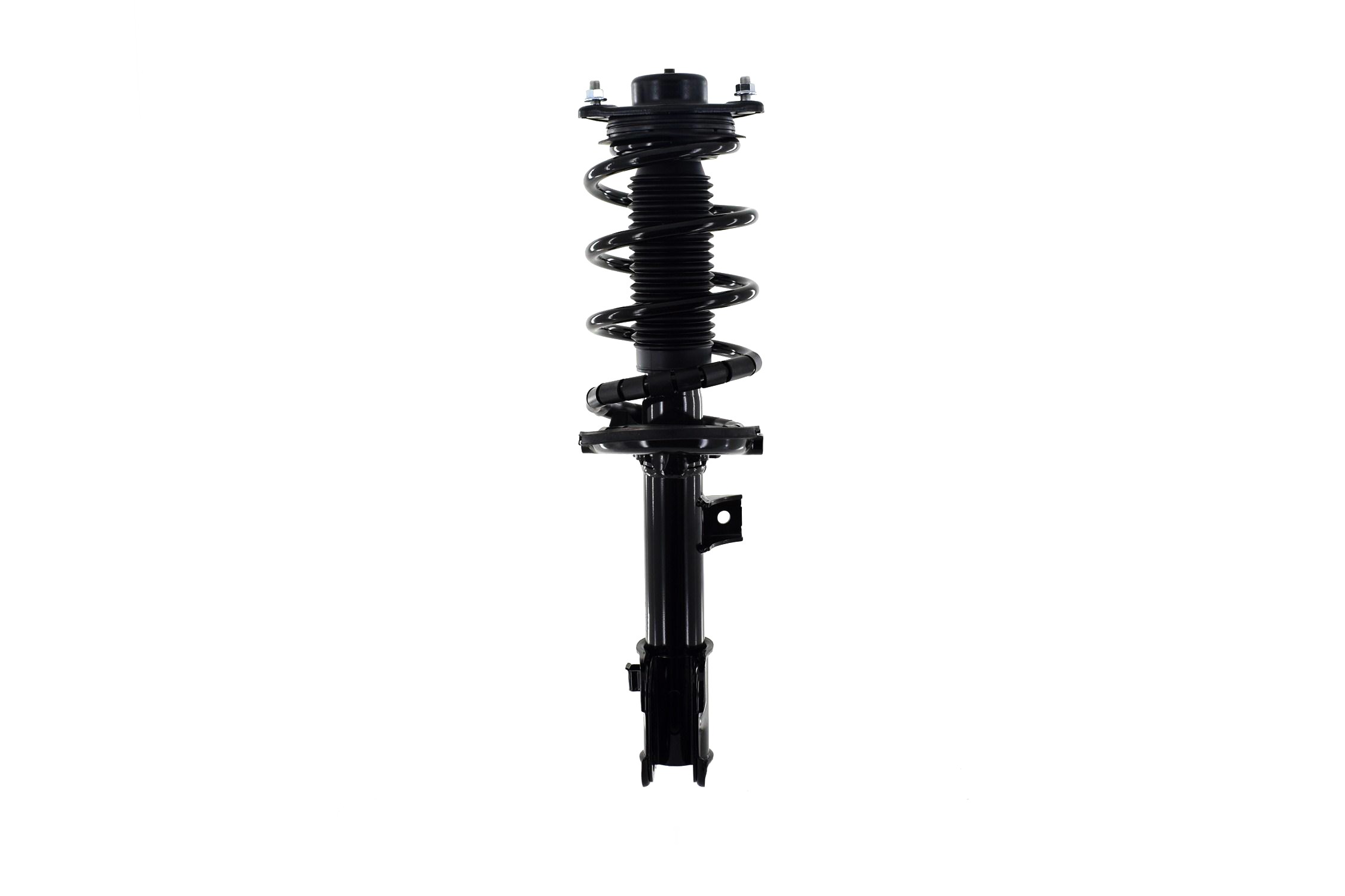 Suspension Strut and Coil Spring Assembly