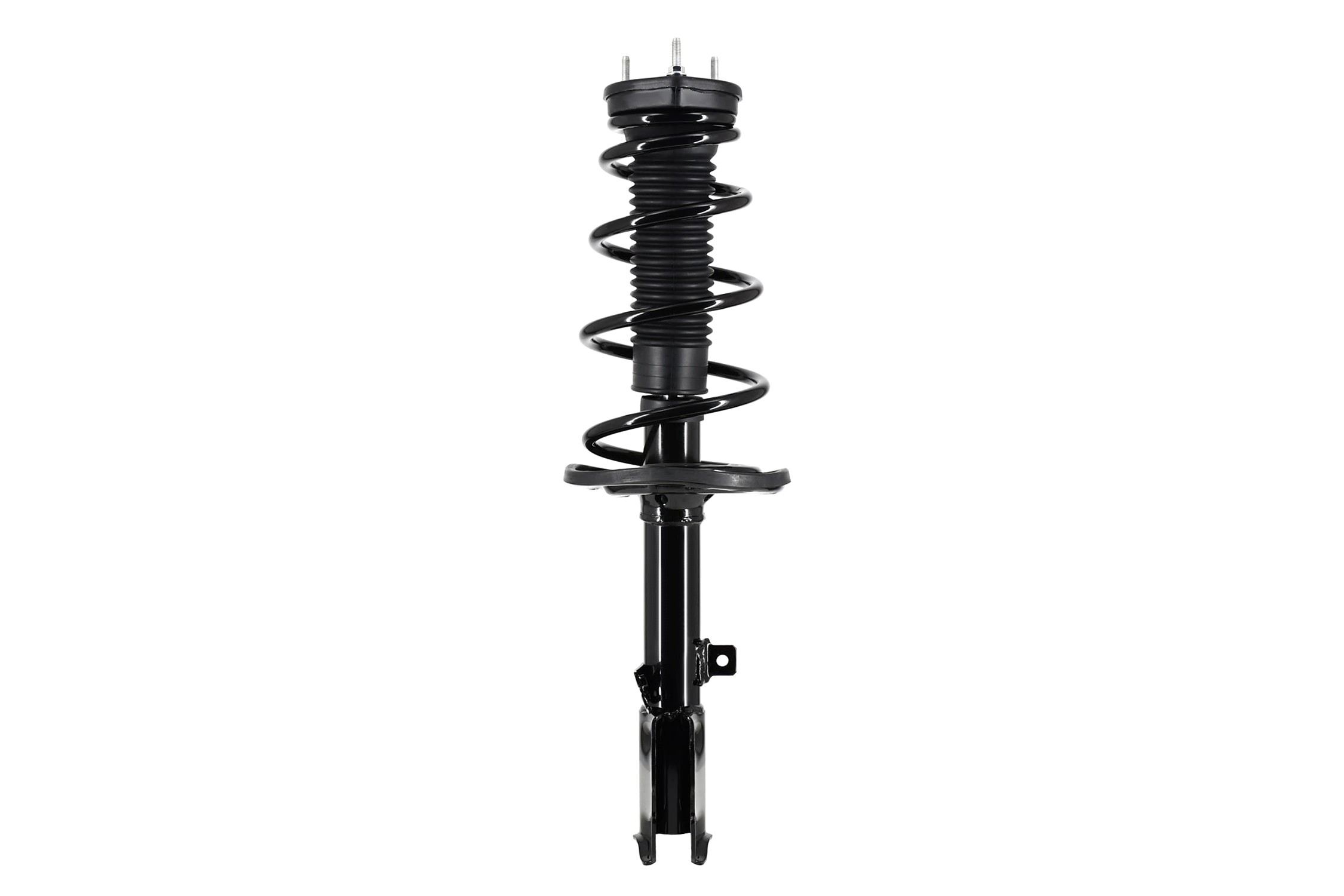Suspension Strut and Coil Spring Assembly