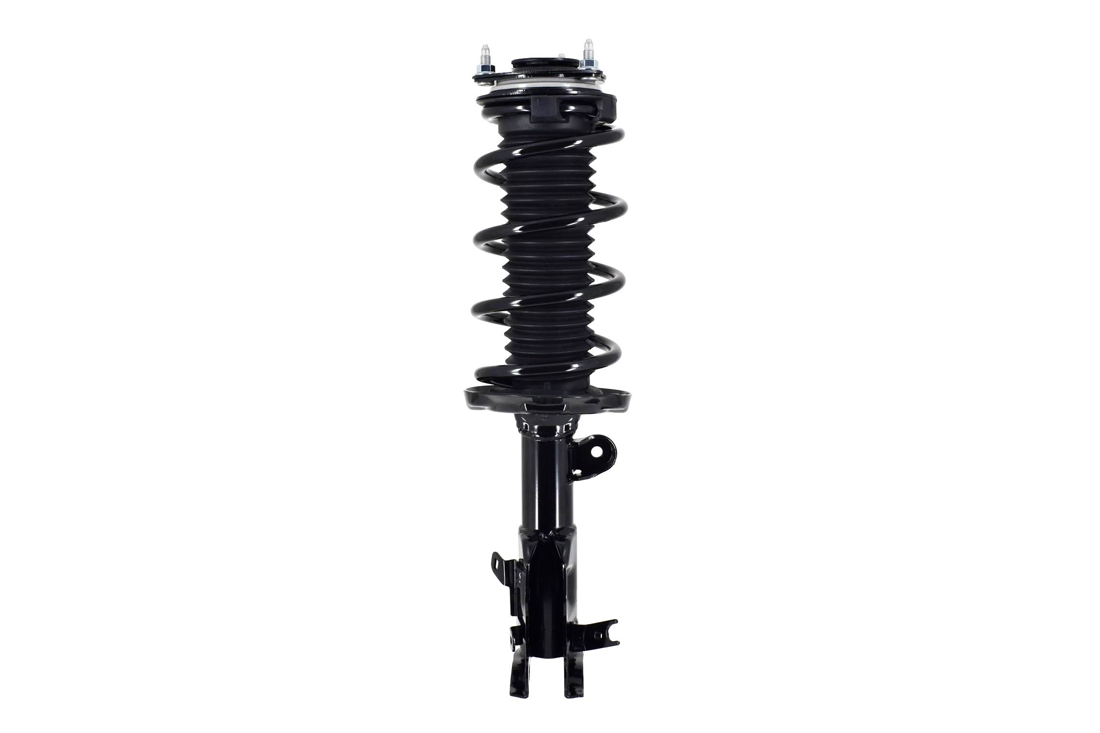 Suspension Strut and Coil Spring Assembly