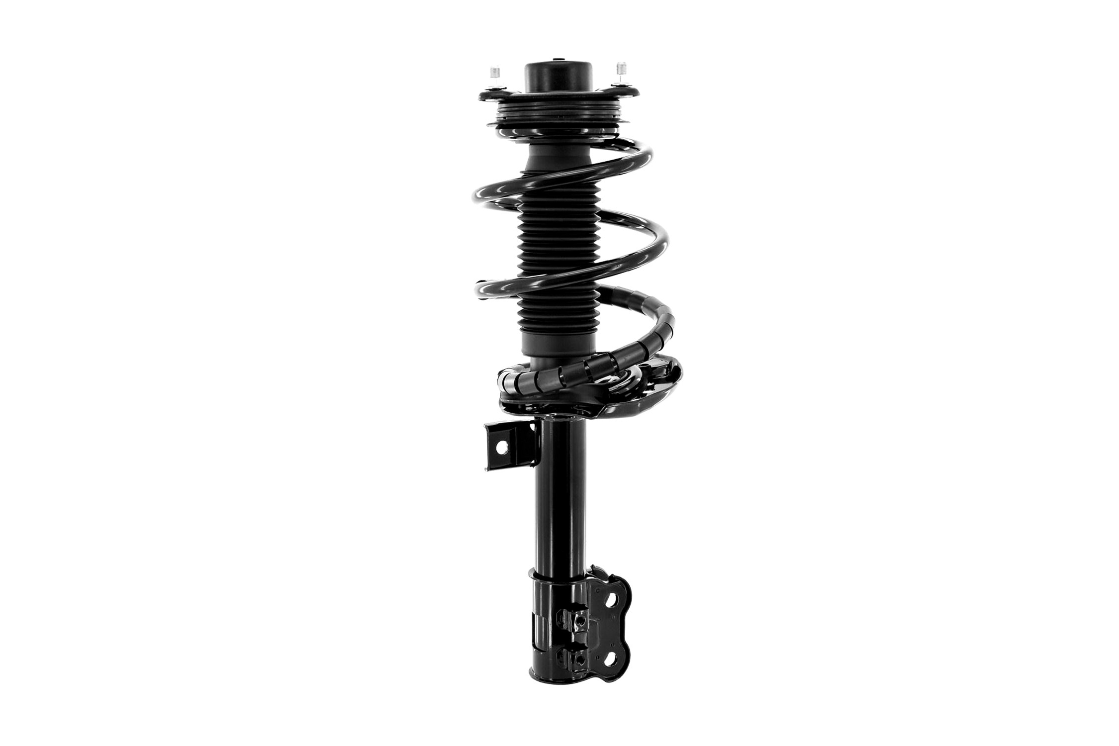 Suspension Strut and Coil Spring Assembly
