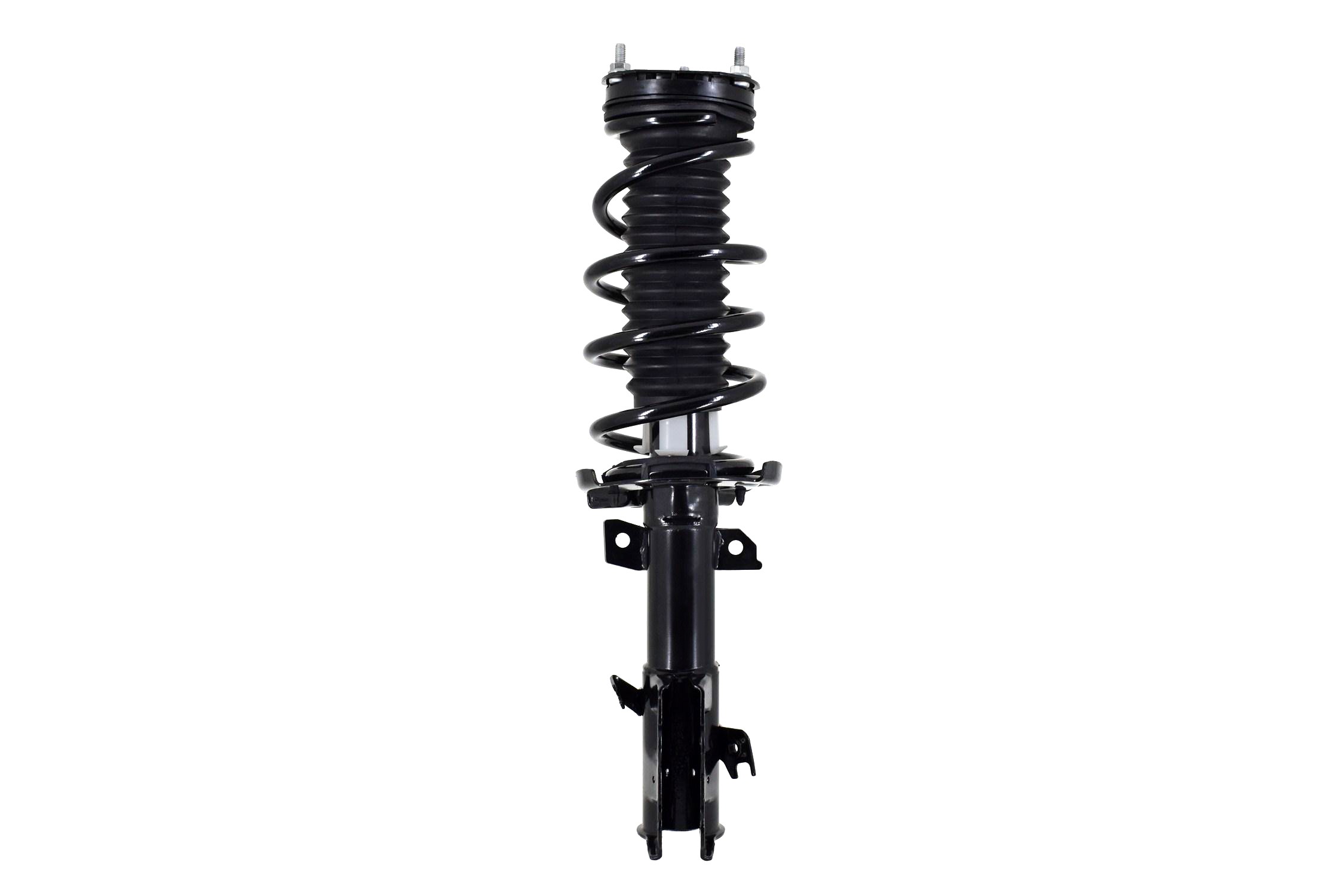 Suspension Strut and Coil Spring Assembly