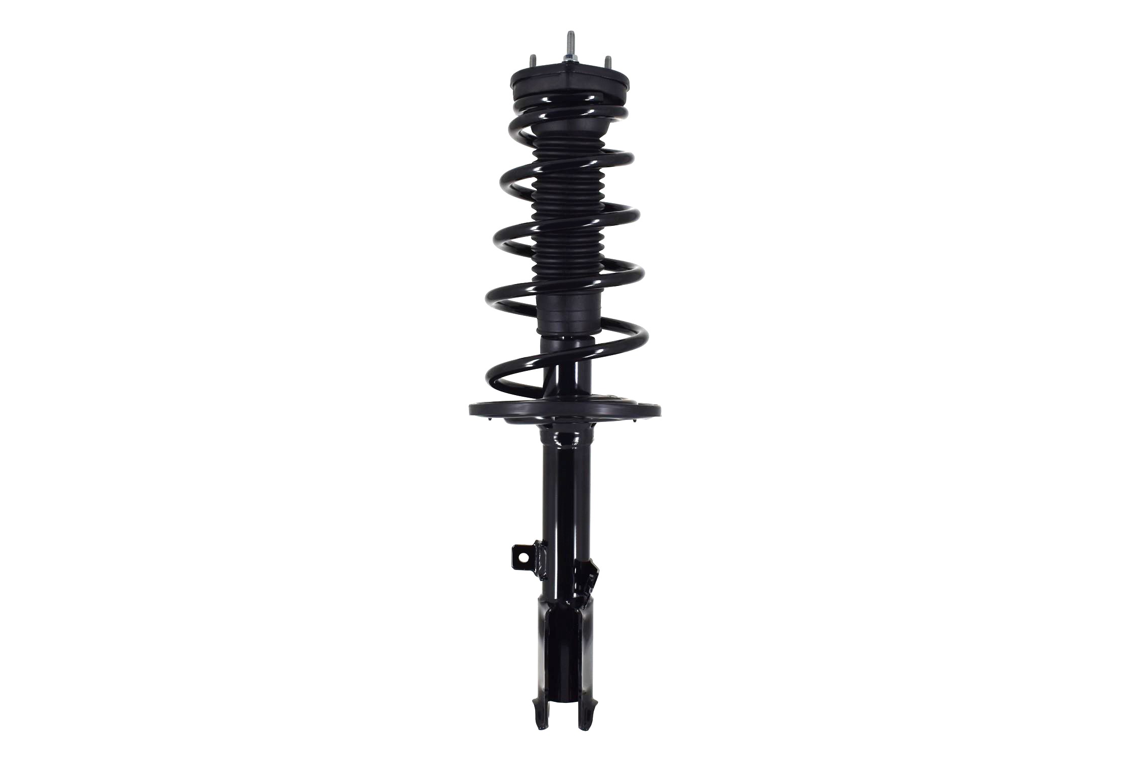 Suspension Strut and Coil Spring Assembly