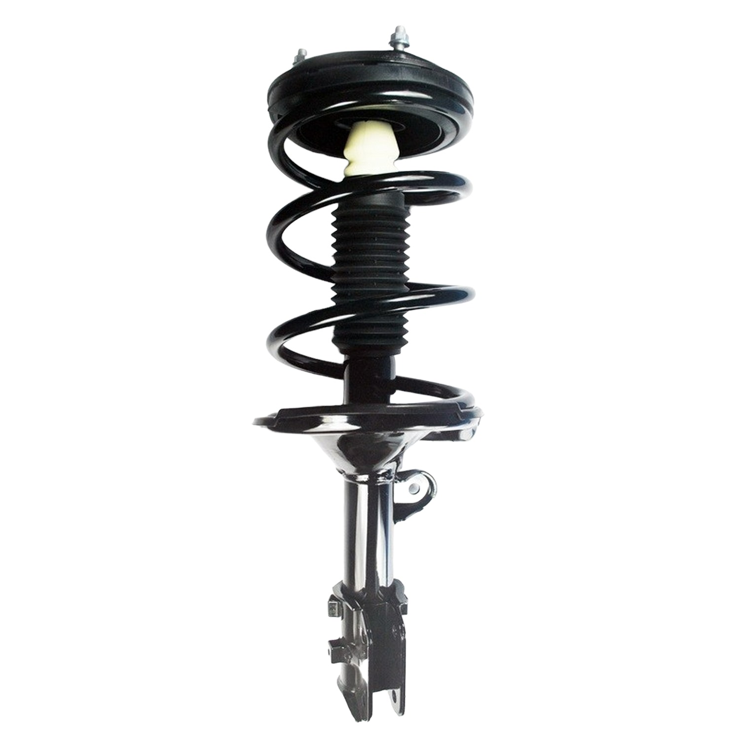 Suspension Strut and Coil Spring Assembly