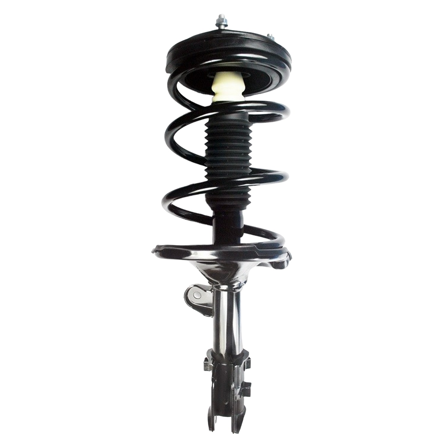 Suspension Strut and Coil Spring Assembly
