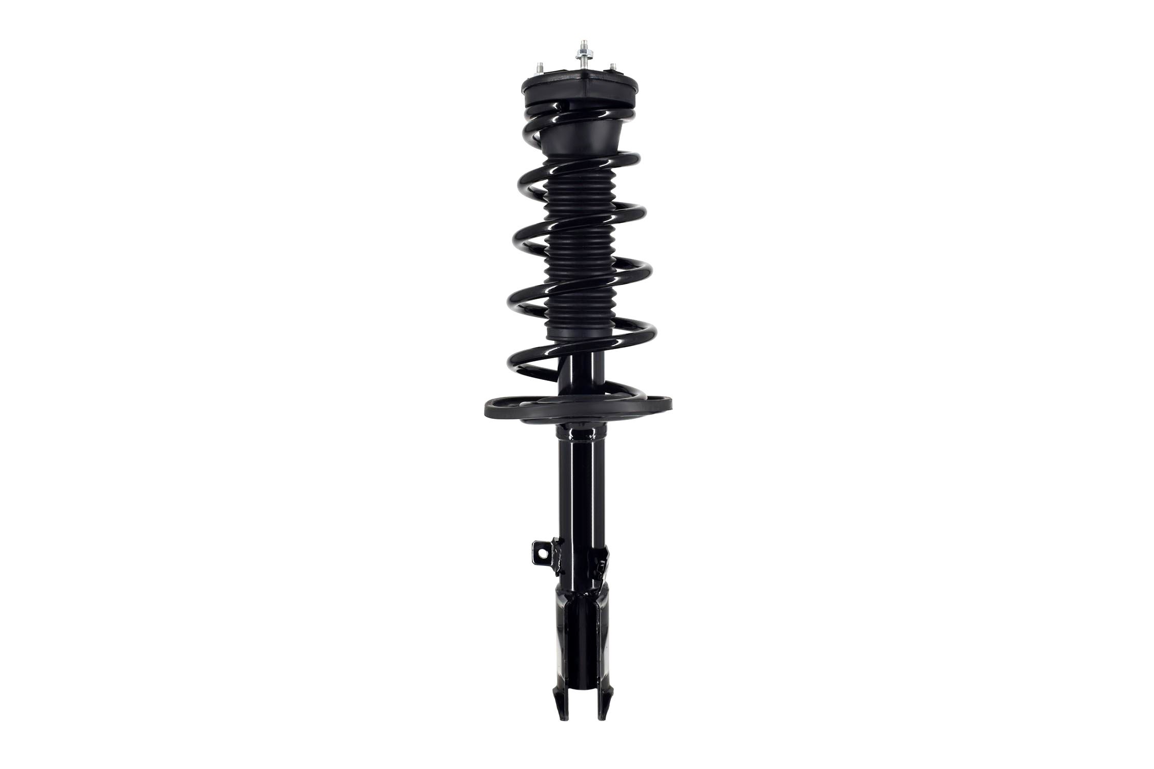 Suspension Strut and Coil Spring Assembly