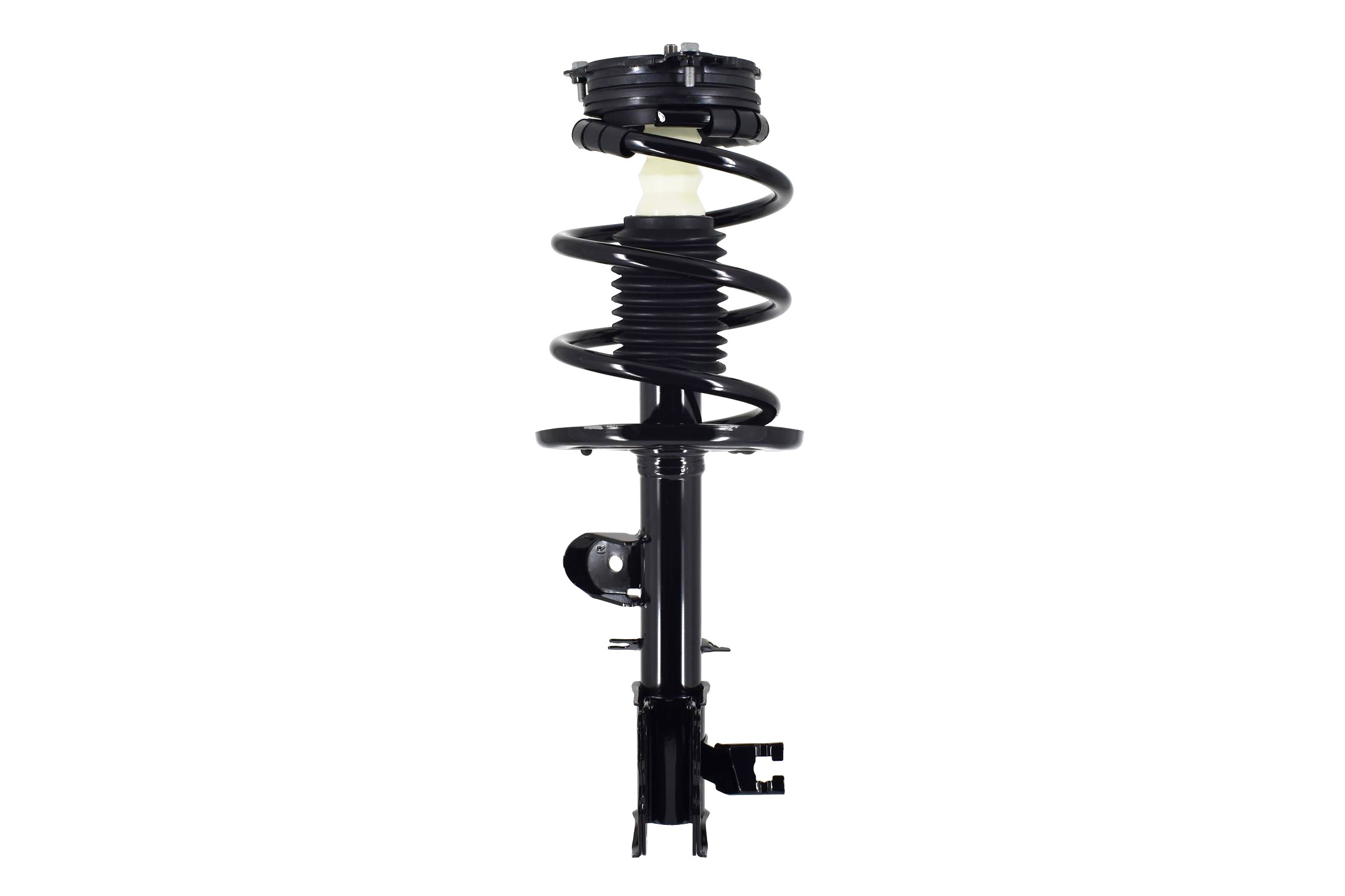 Suspension Strut and Coil Spring Assembly