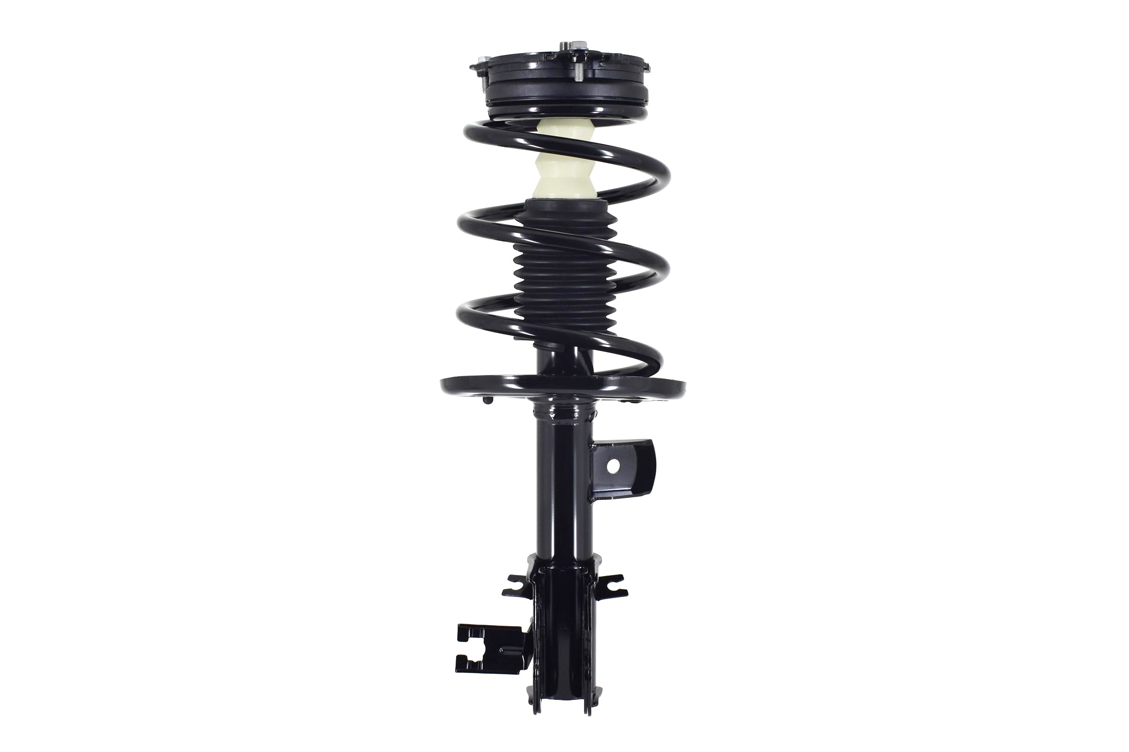 Suspension Strut and Coil Spring Assembly