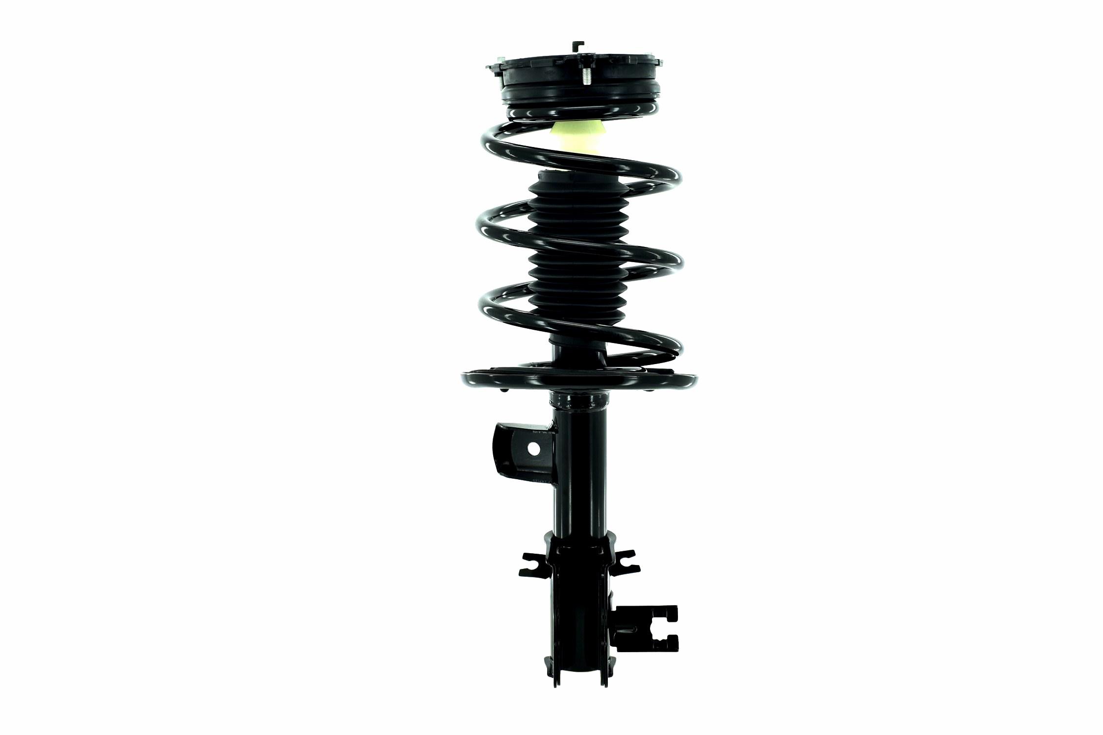 Suspension Strut and Coil Spring Assembly