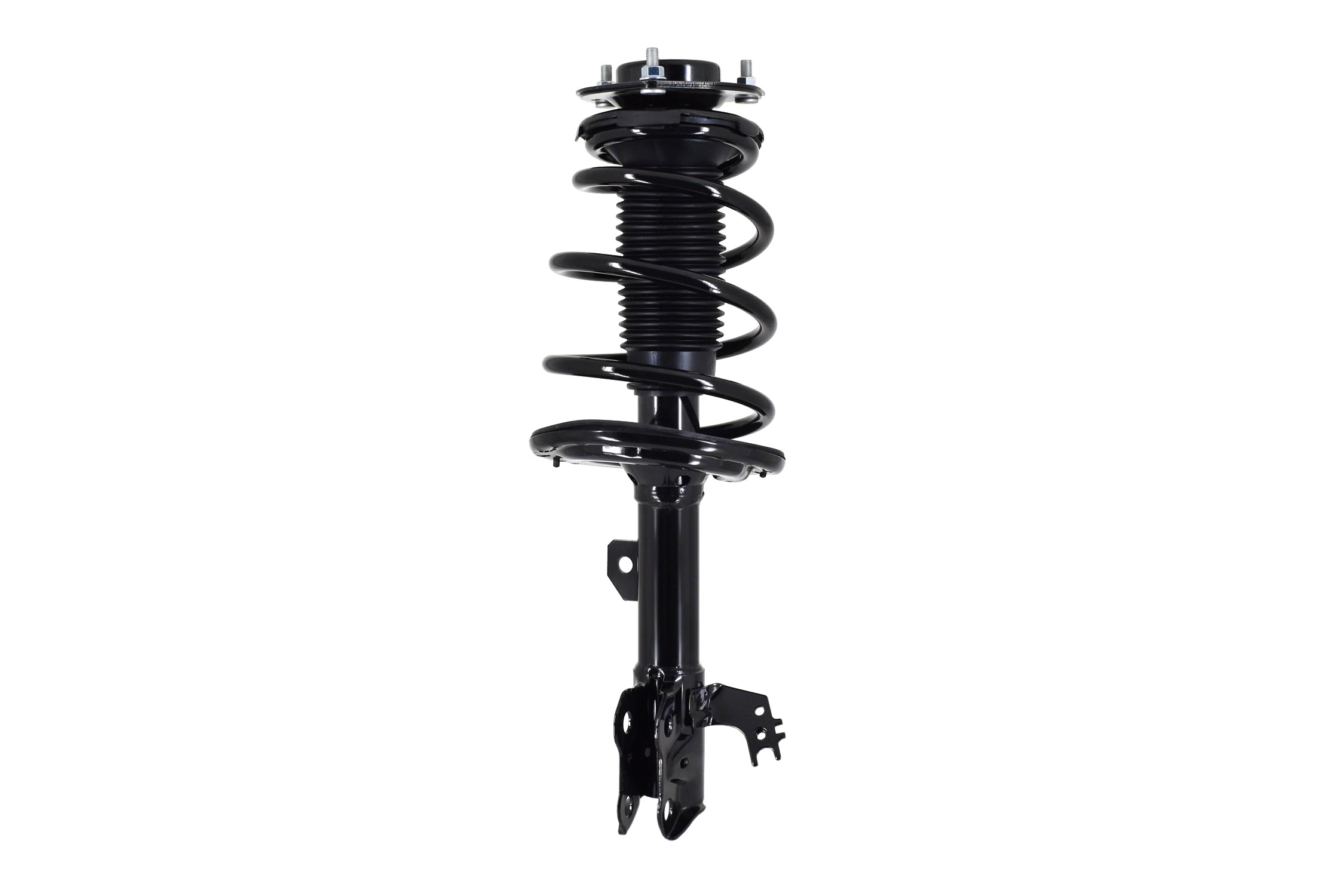Suspension Strut and Coil Spring Assembly