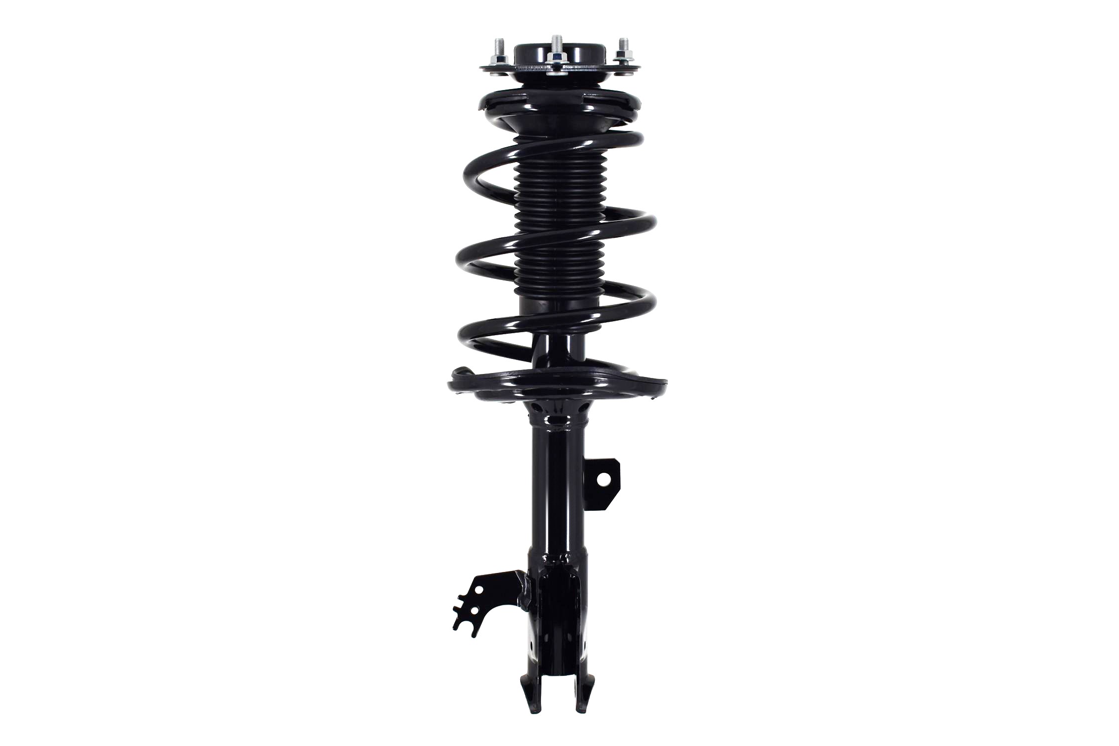 Suspension Strut and Coil Spring Assembly