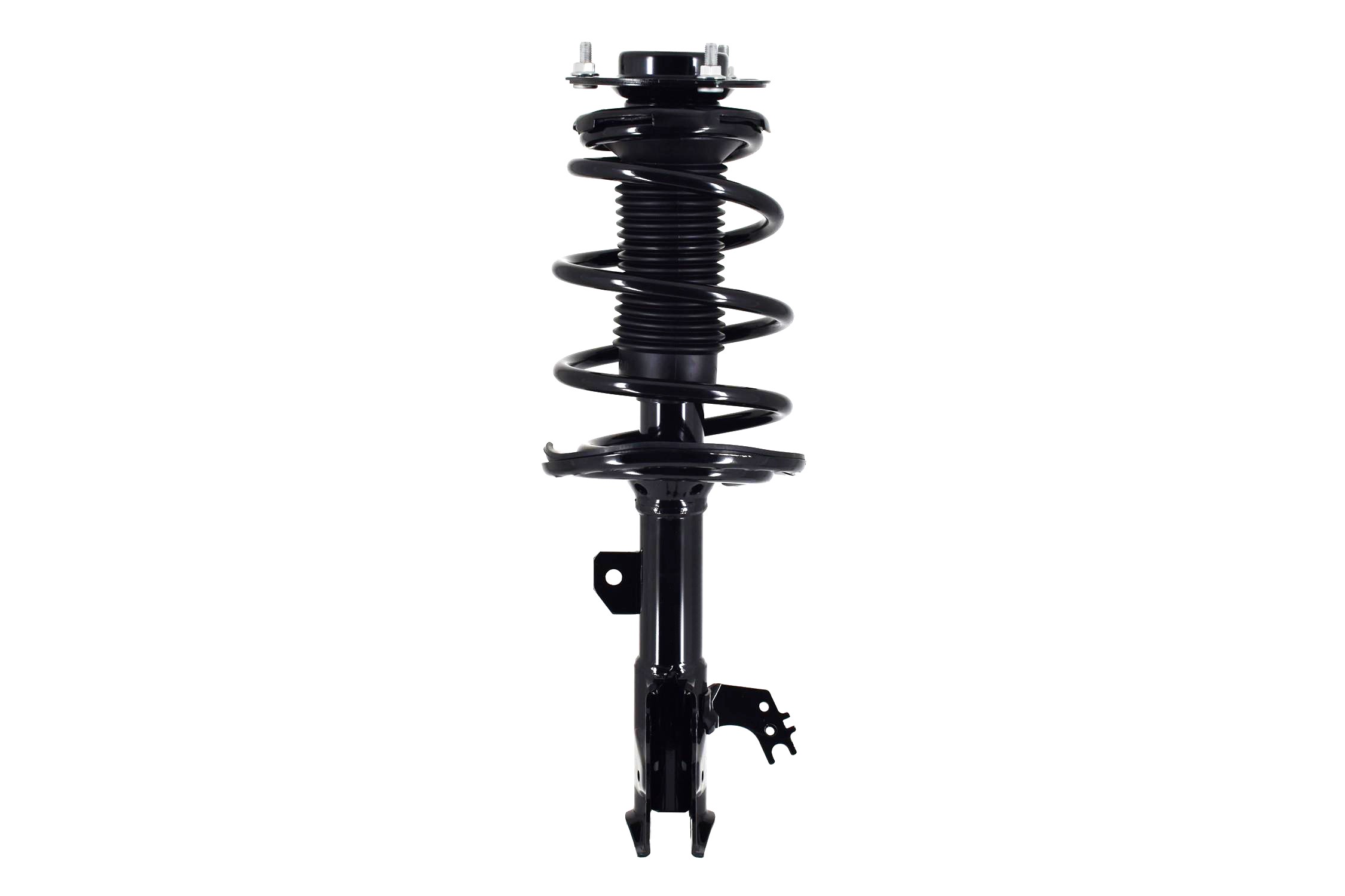Suspension Strut and Coil Spring Assembly