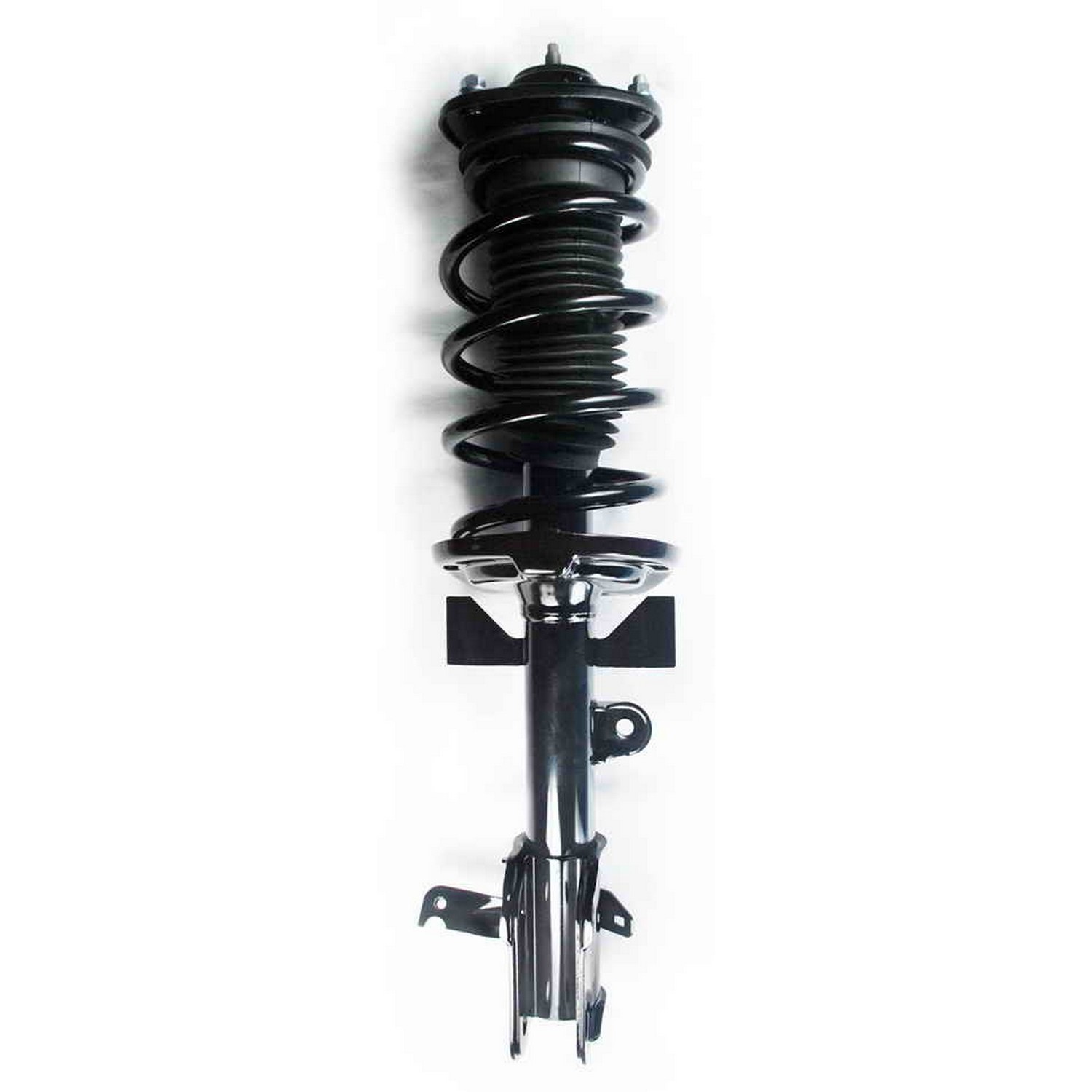 Suspension Strut and Coil Spring Assembly
