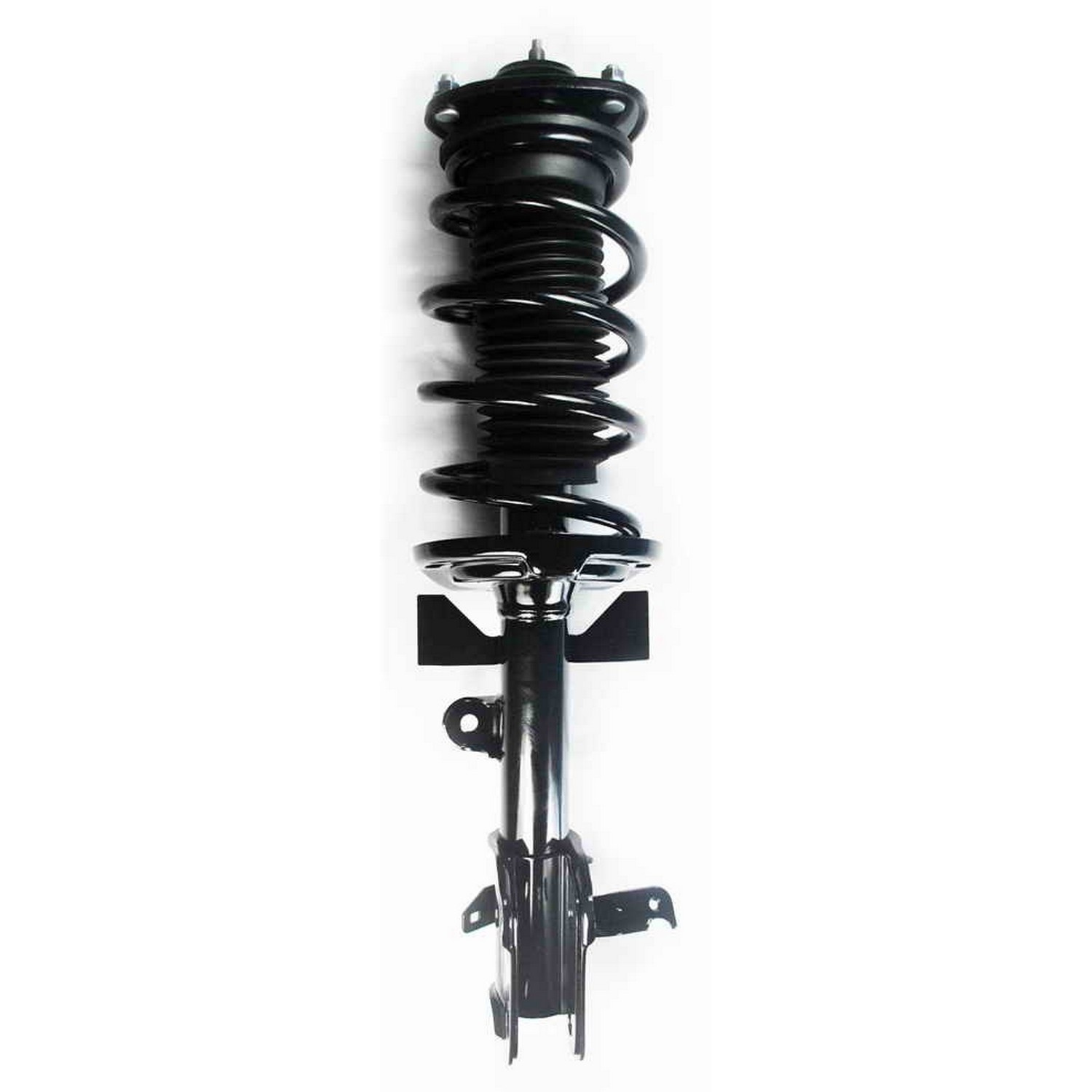 Suspension Strut and Coil Spring Assembly