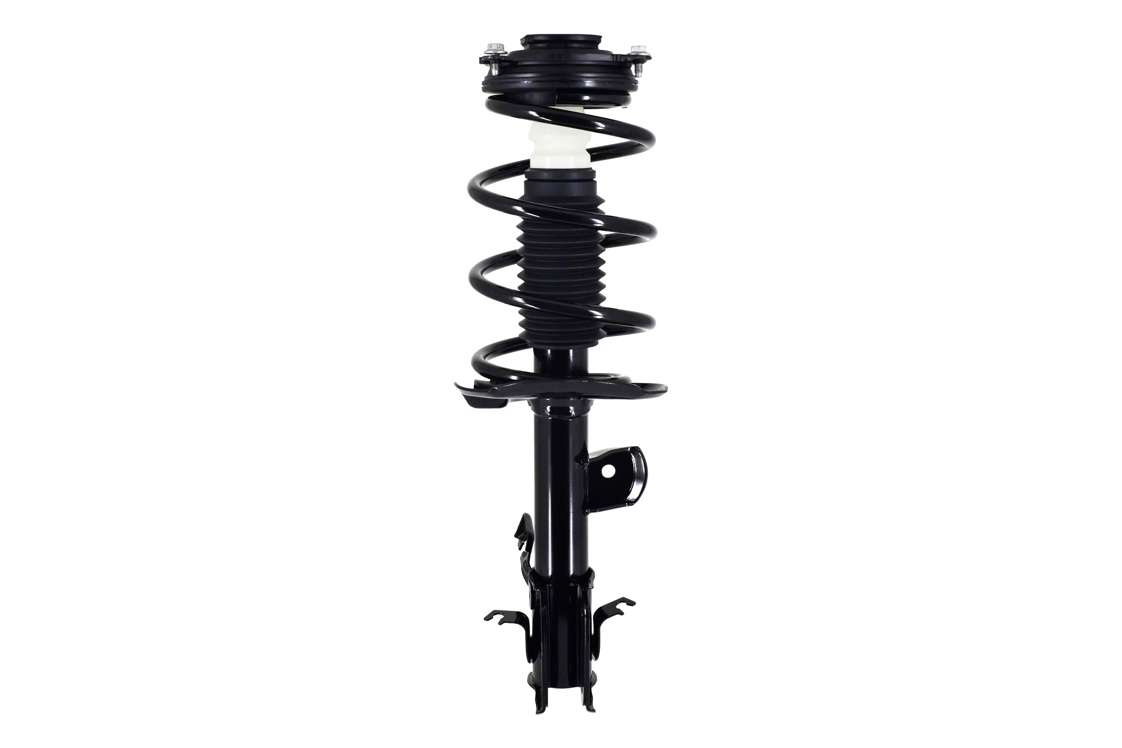Suspension Strut and Coil Spring Assembly