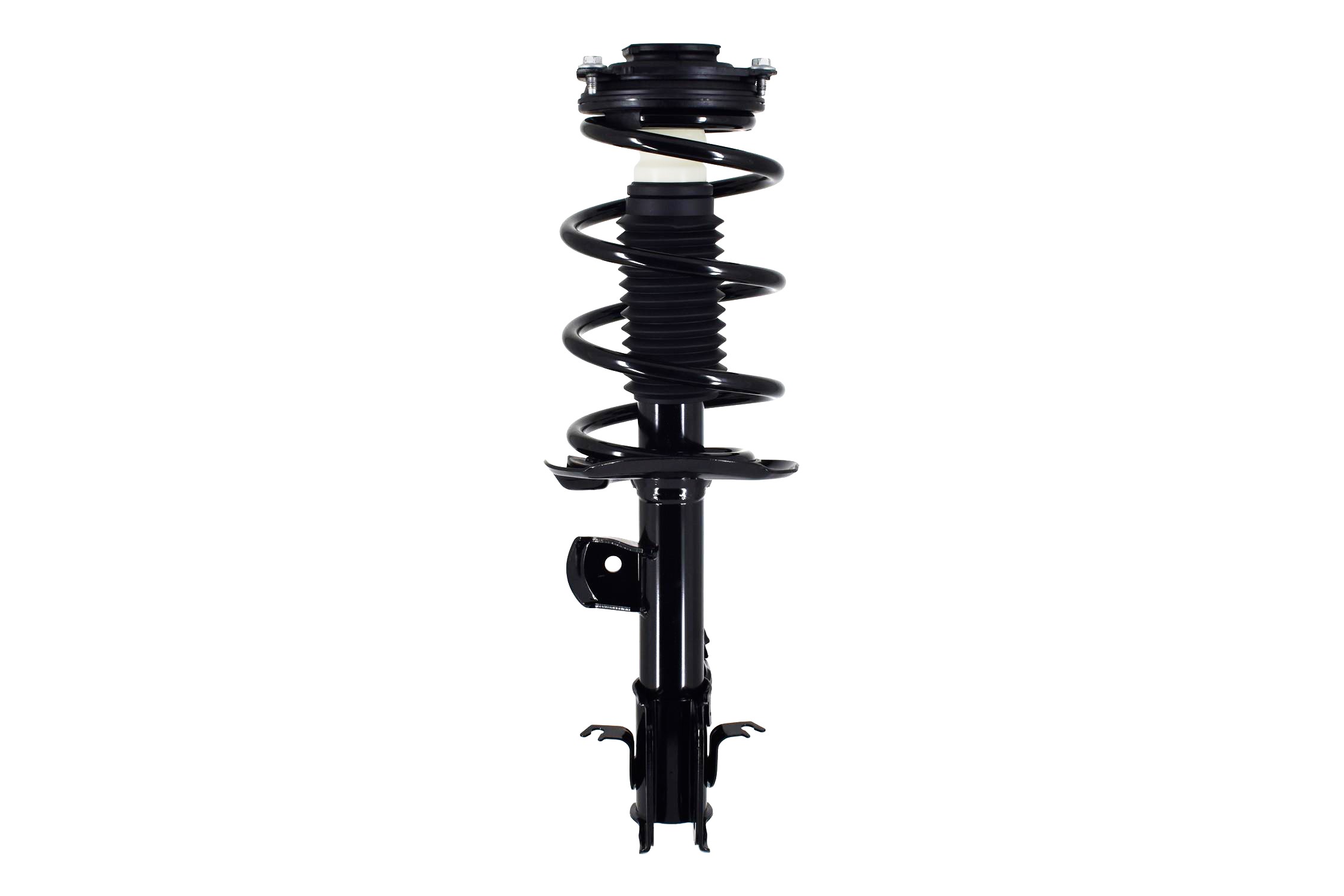 Suspension Strut and Coil Spring Assembly