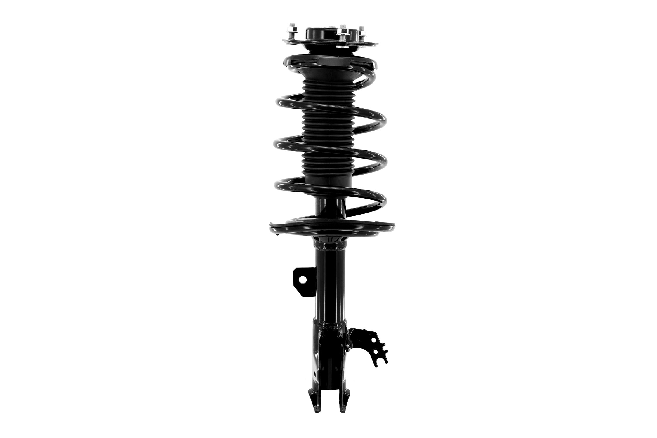 Suspension Strut and Coil Spring Assembly