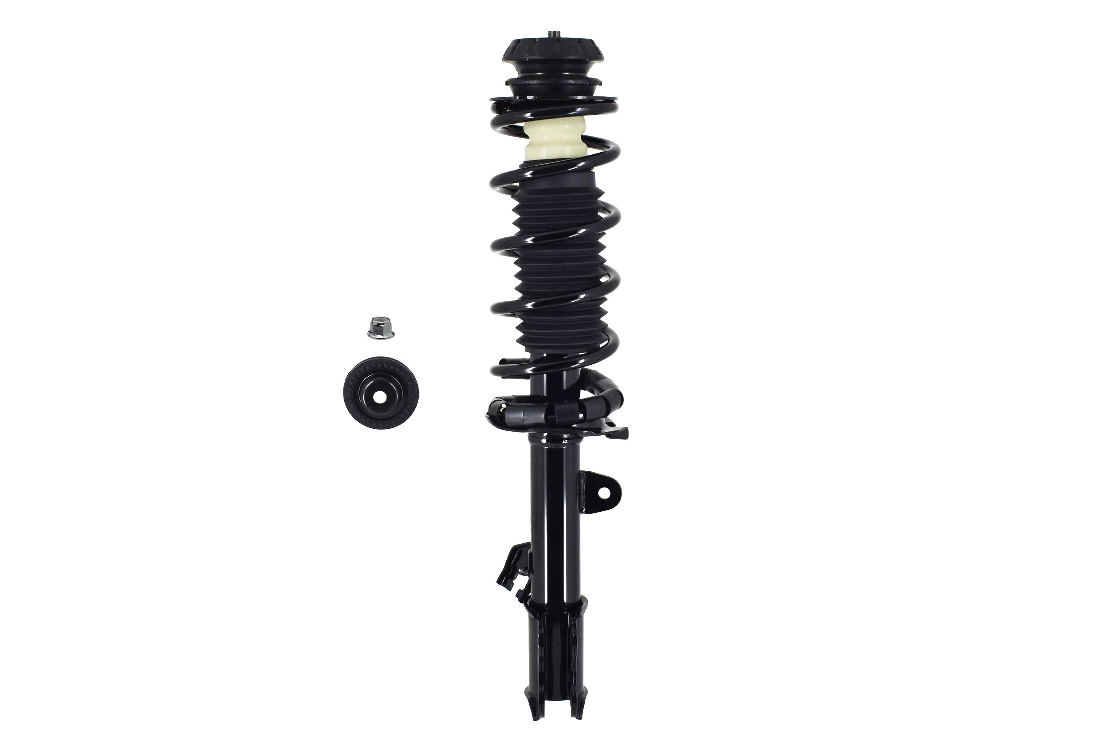Suspension Strut and Coil Spring Assembly