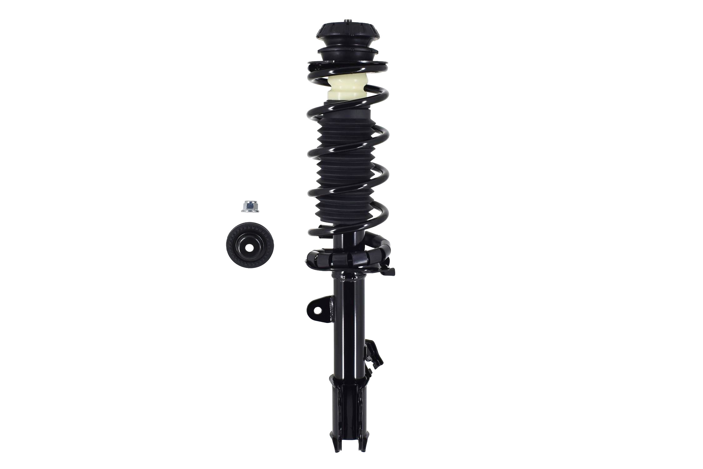 Suspension Strut and Coil Spring Assembly