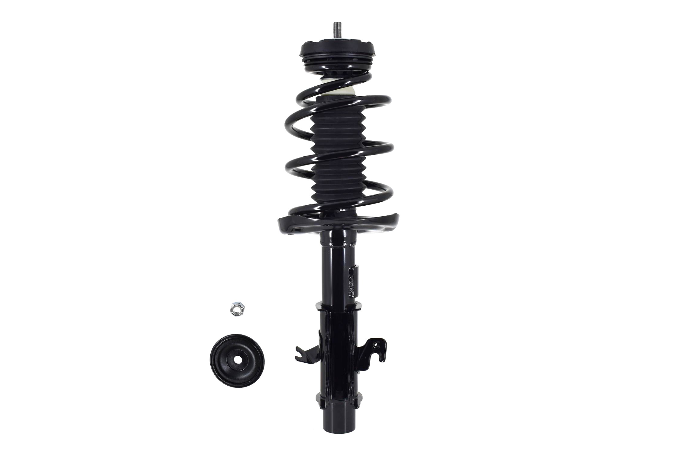 Suspension Strut and Coil Spring Assembly