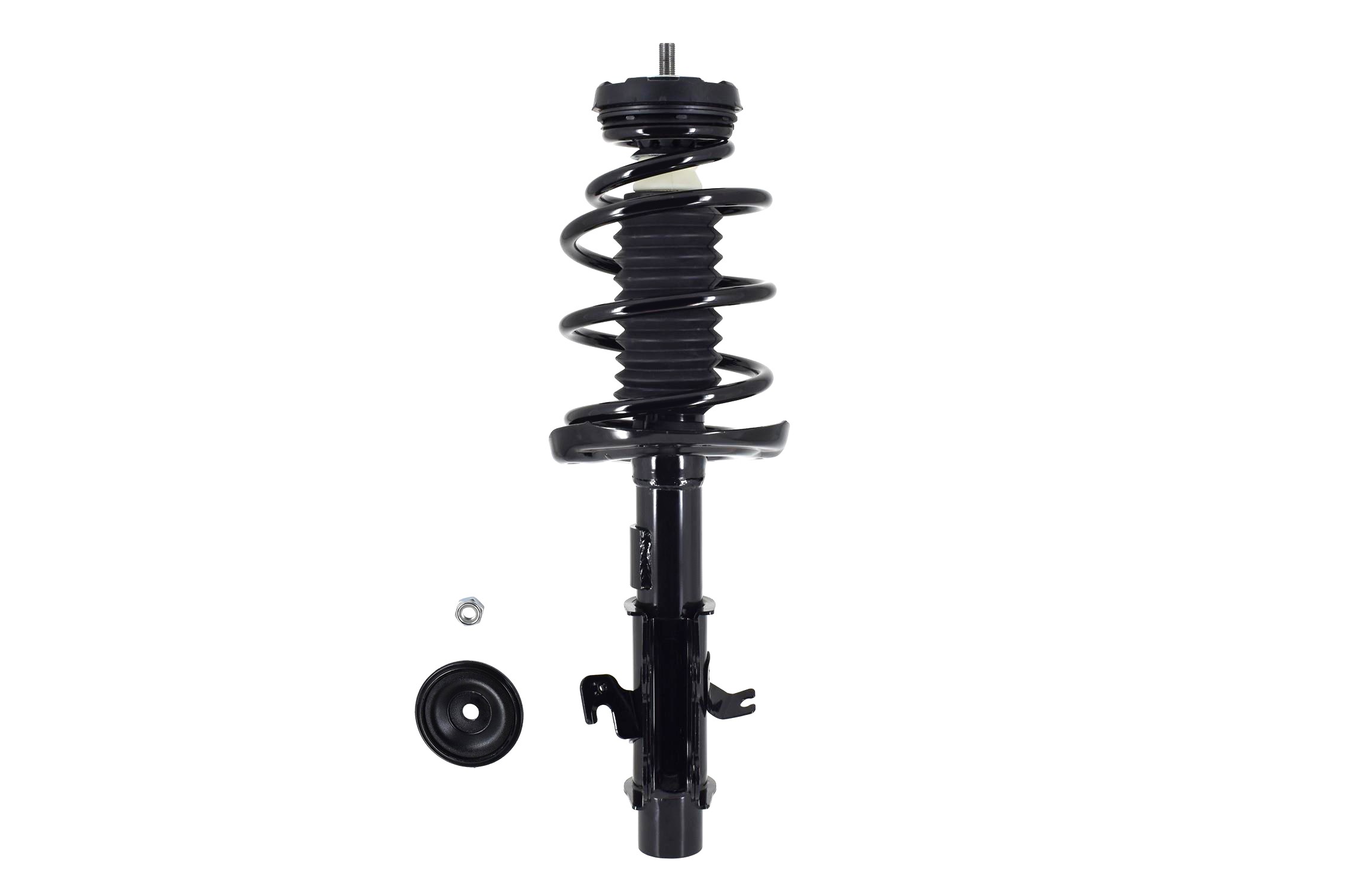 Suspension Strut and Coil Spring Assembly