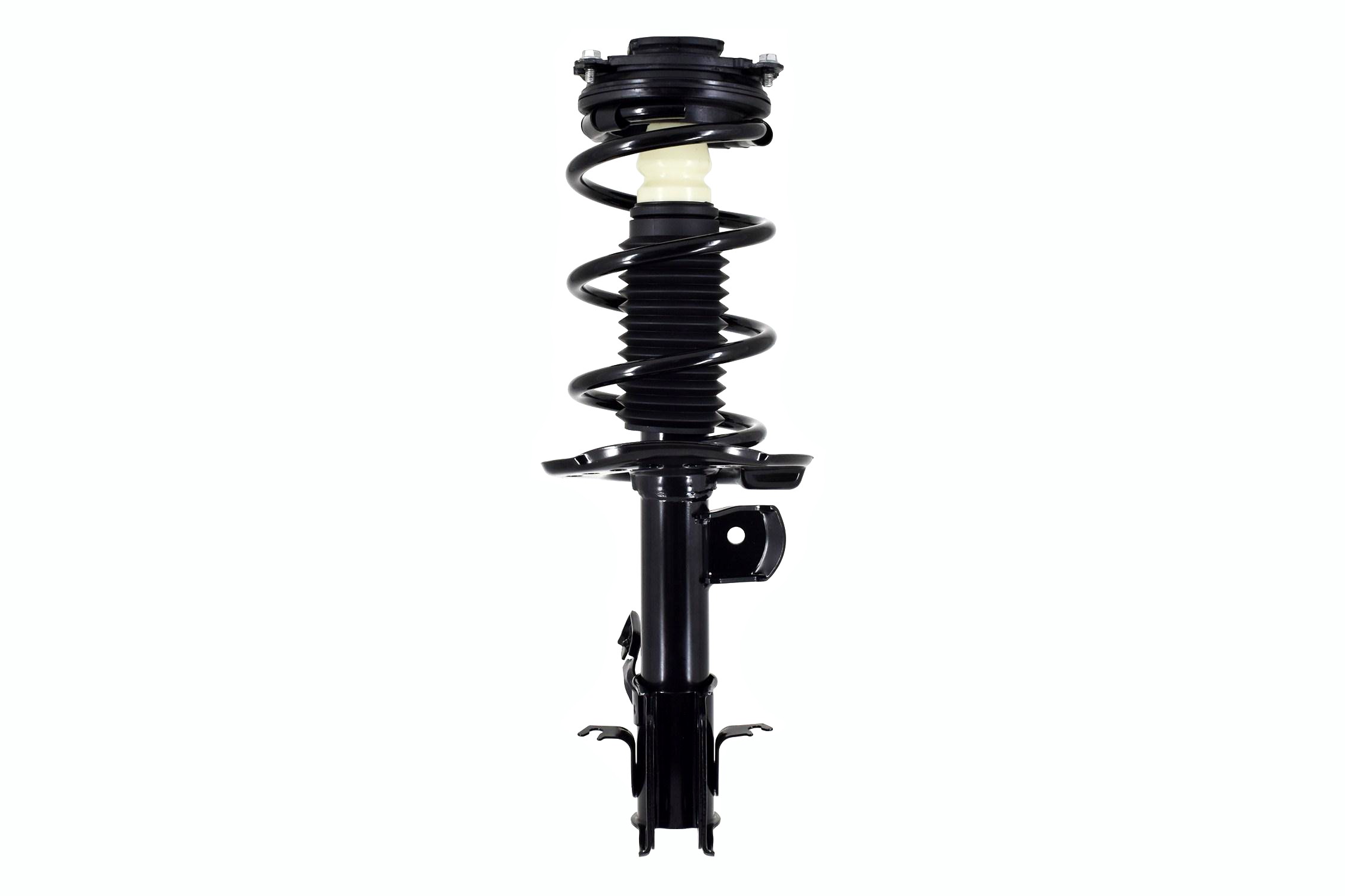Suspension Strut and Coil Spring Assembly