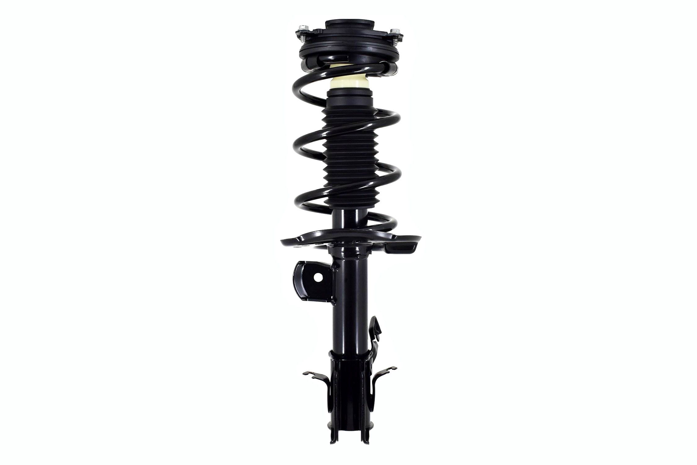 Suspension Strut and Coil Spring Assembly