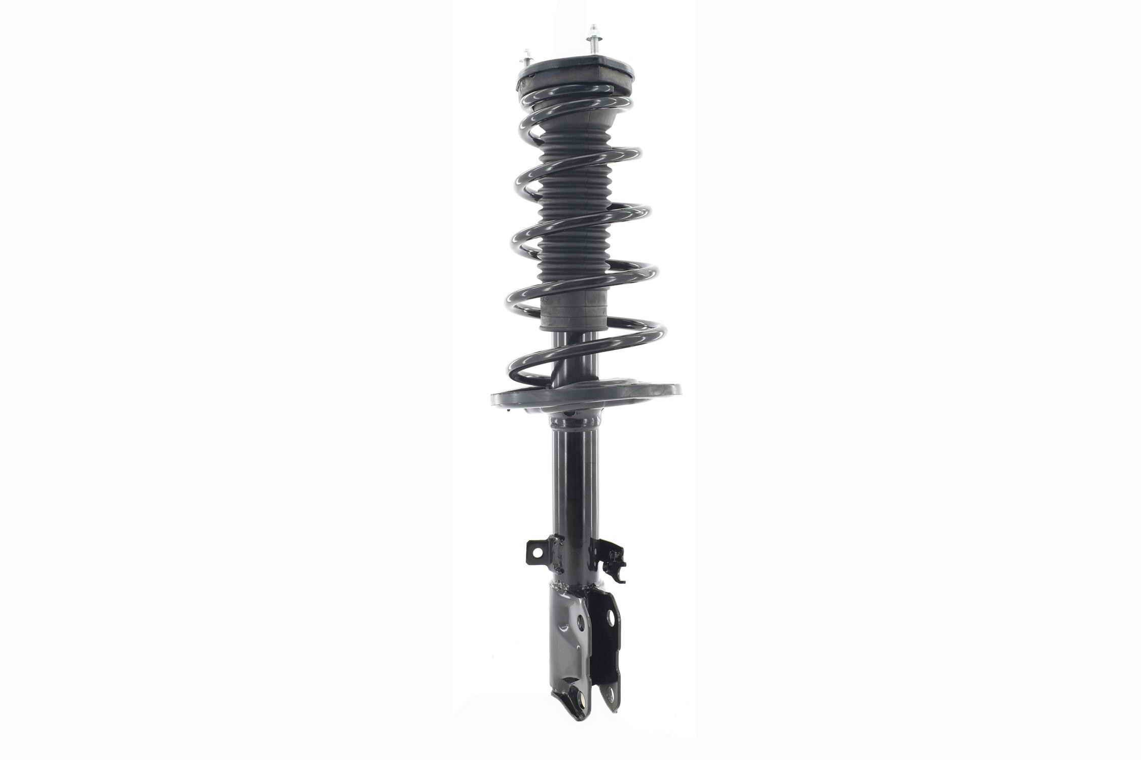 Suspension Strut and Coil Spring Assembly