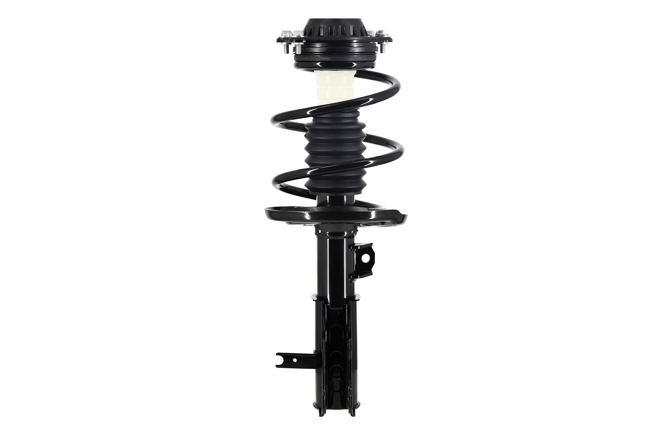 Suspension Strut and Coil Spring Assembly