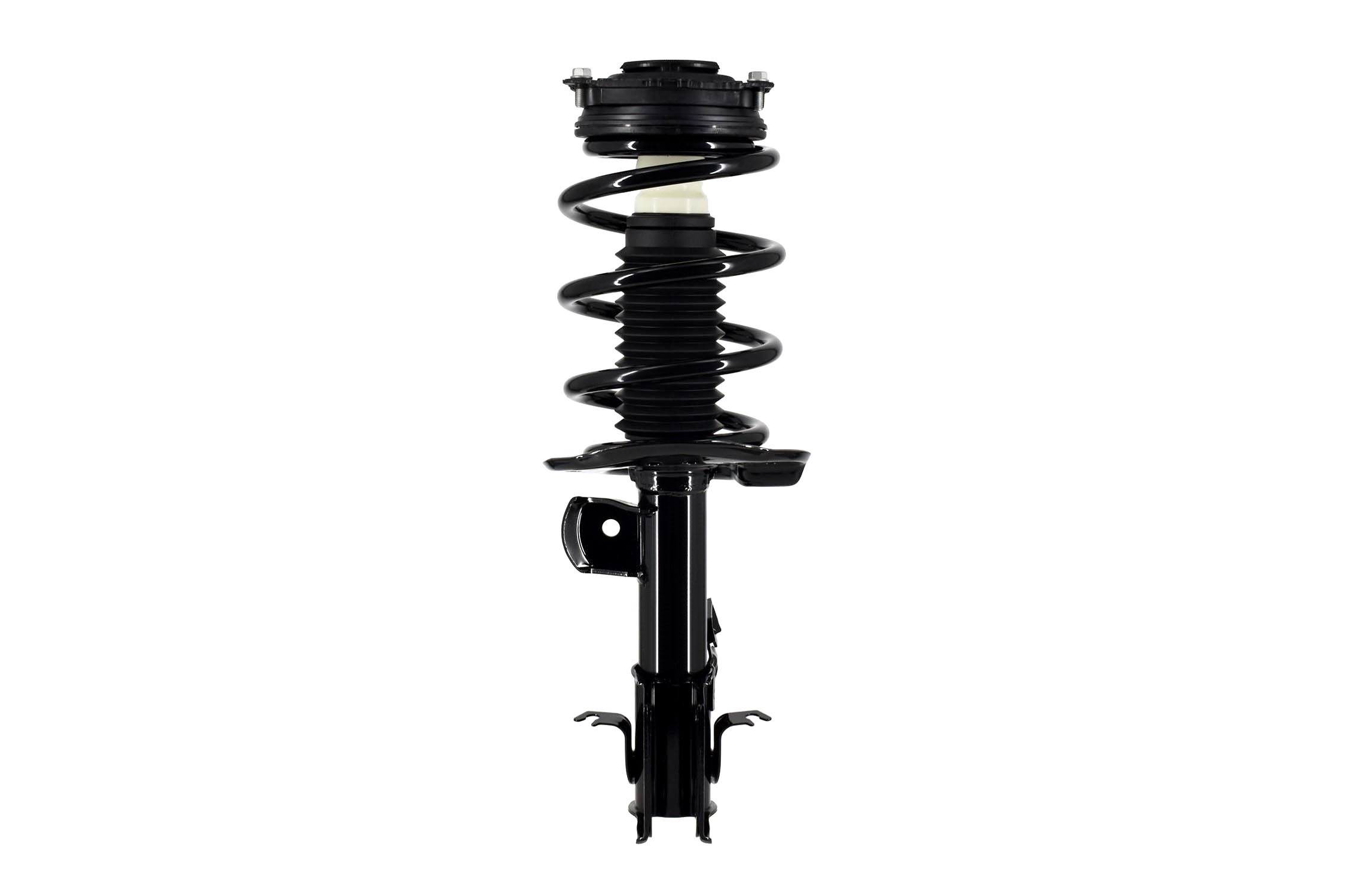 Suspension Strut and Coil Spring Assembly