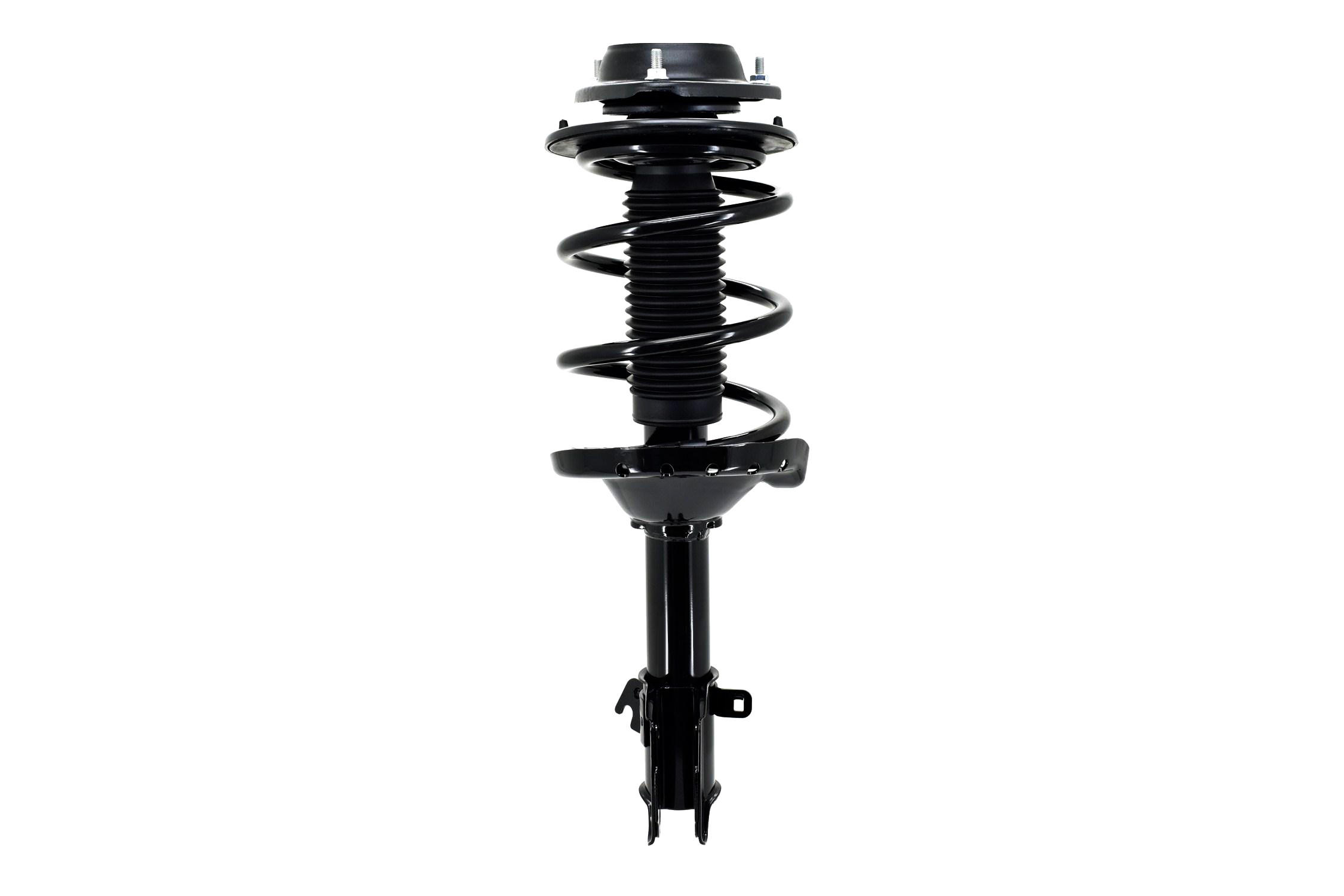 Suspension Strut and Coil Spring Assembly
