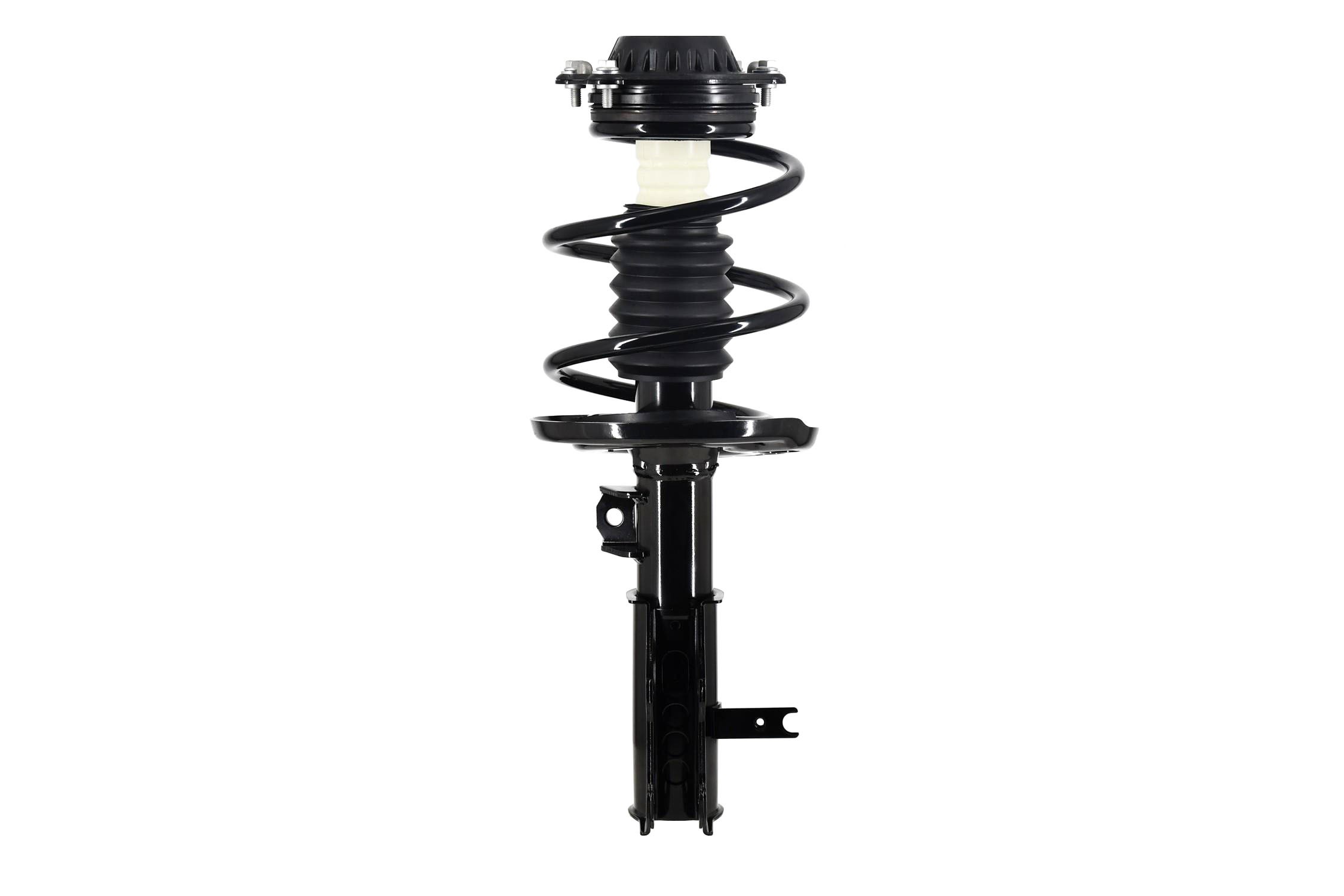 Suspension Strut and Coil Spring Assembly
