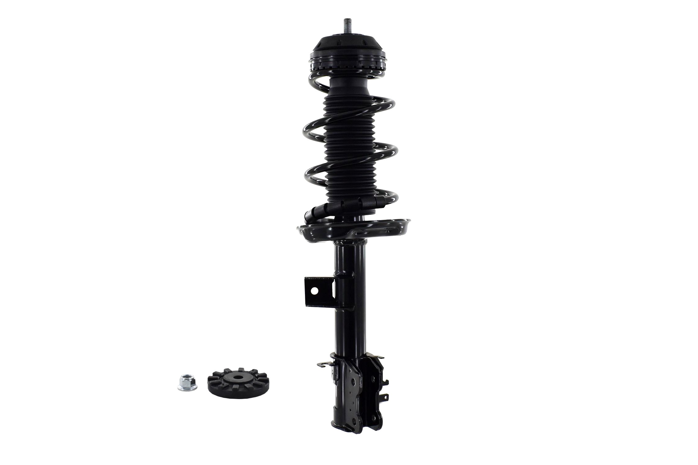 Suspension Strut and Coil Spring Assembly