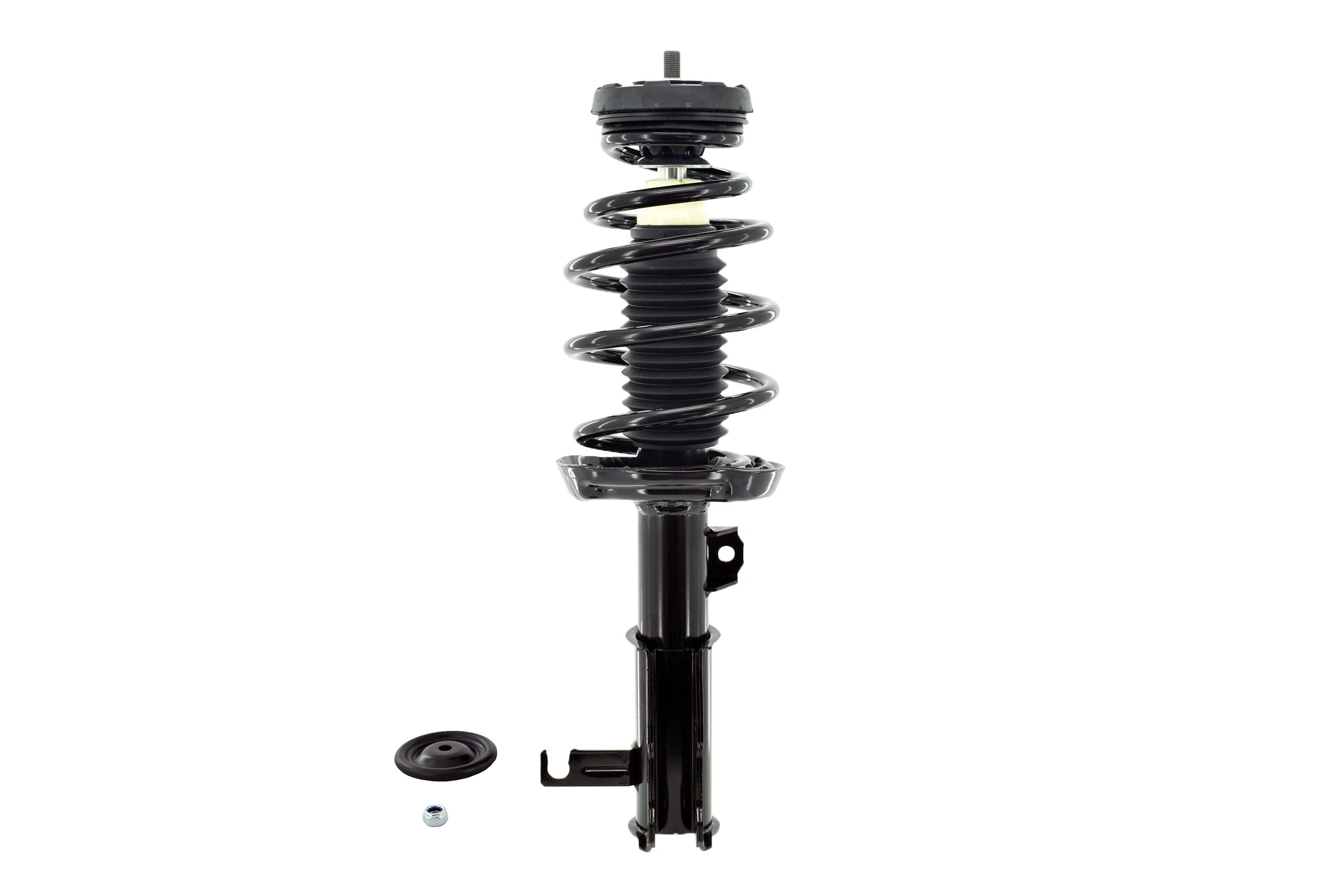 Suspension Strut and Coil Spring Assembly